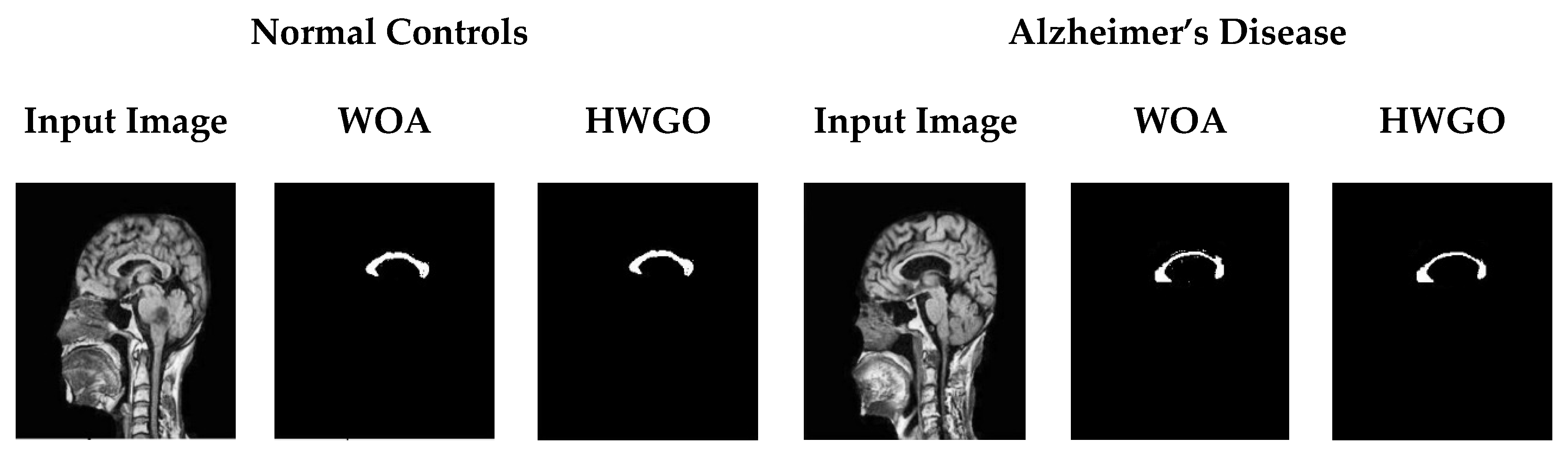 Mathematics 11 01136 g007 Mathematics 11 01136 g007