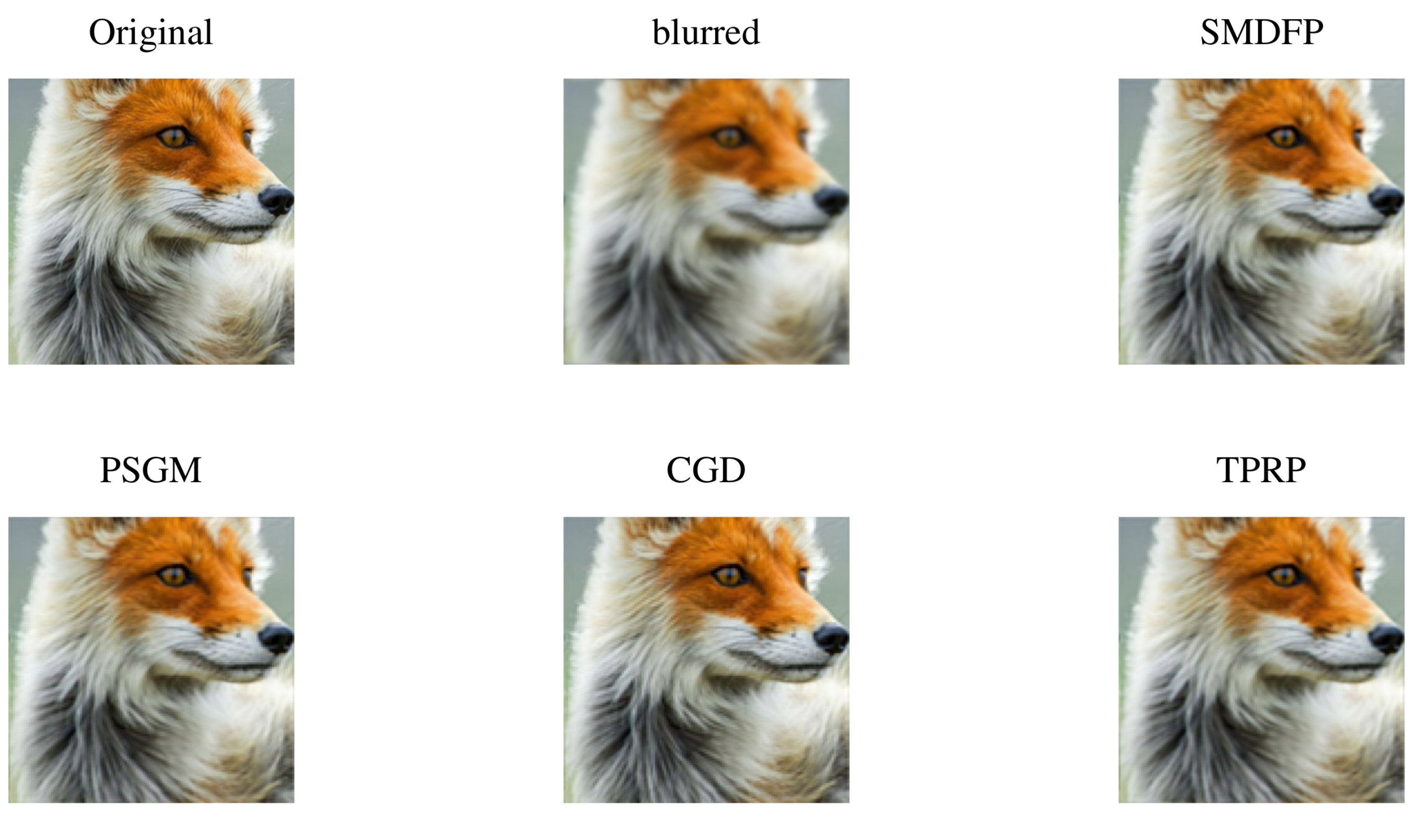 Mathematics 11 01221 g006