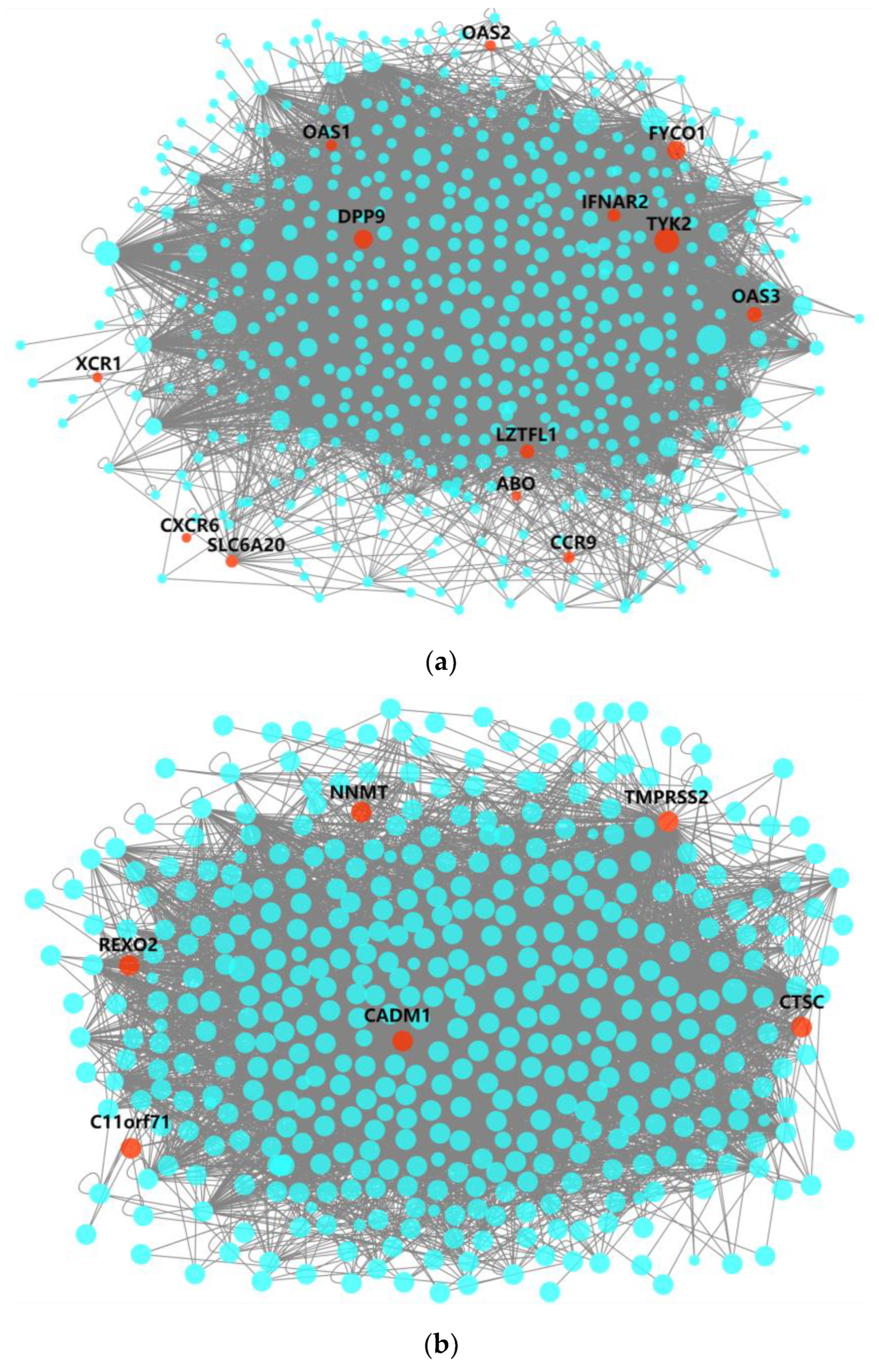 Mathematics 11 01368 g002