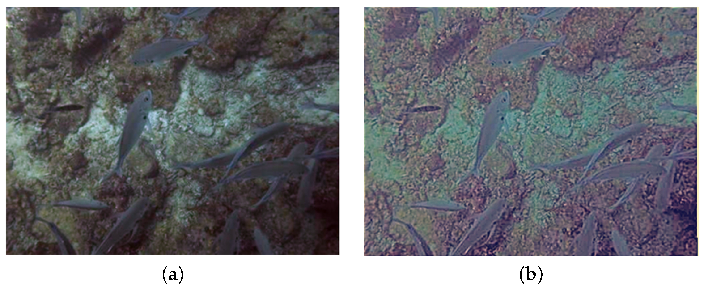 Mathematics 11 01382 g001