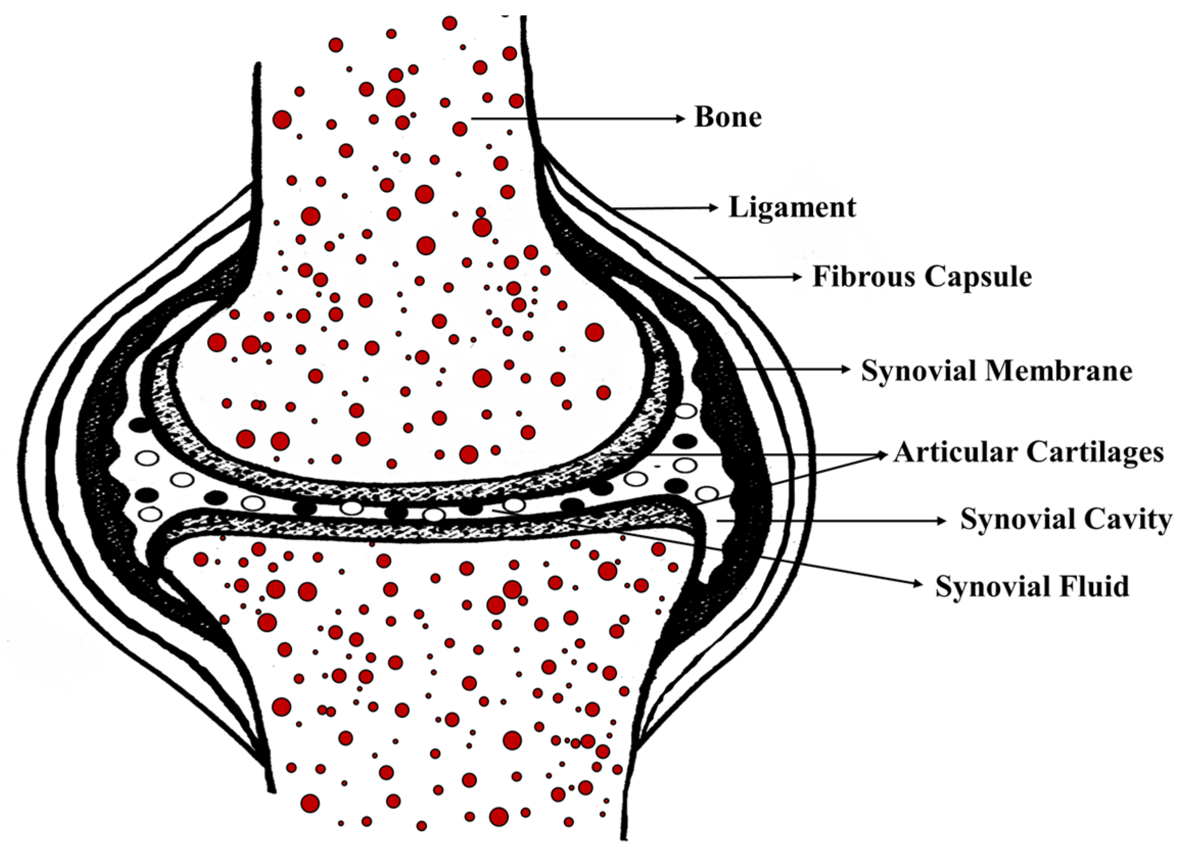 Mathematics 11 01468 g001