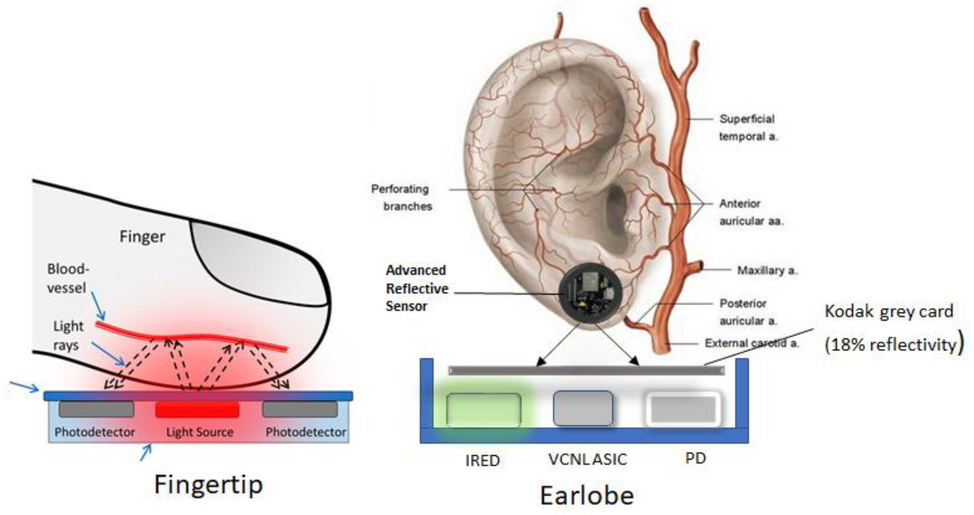 Mathematics 11 01781 g003