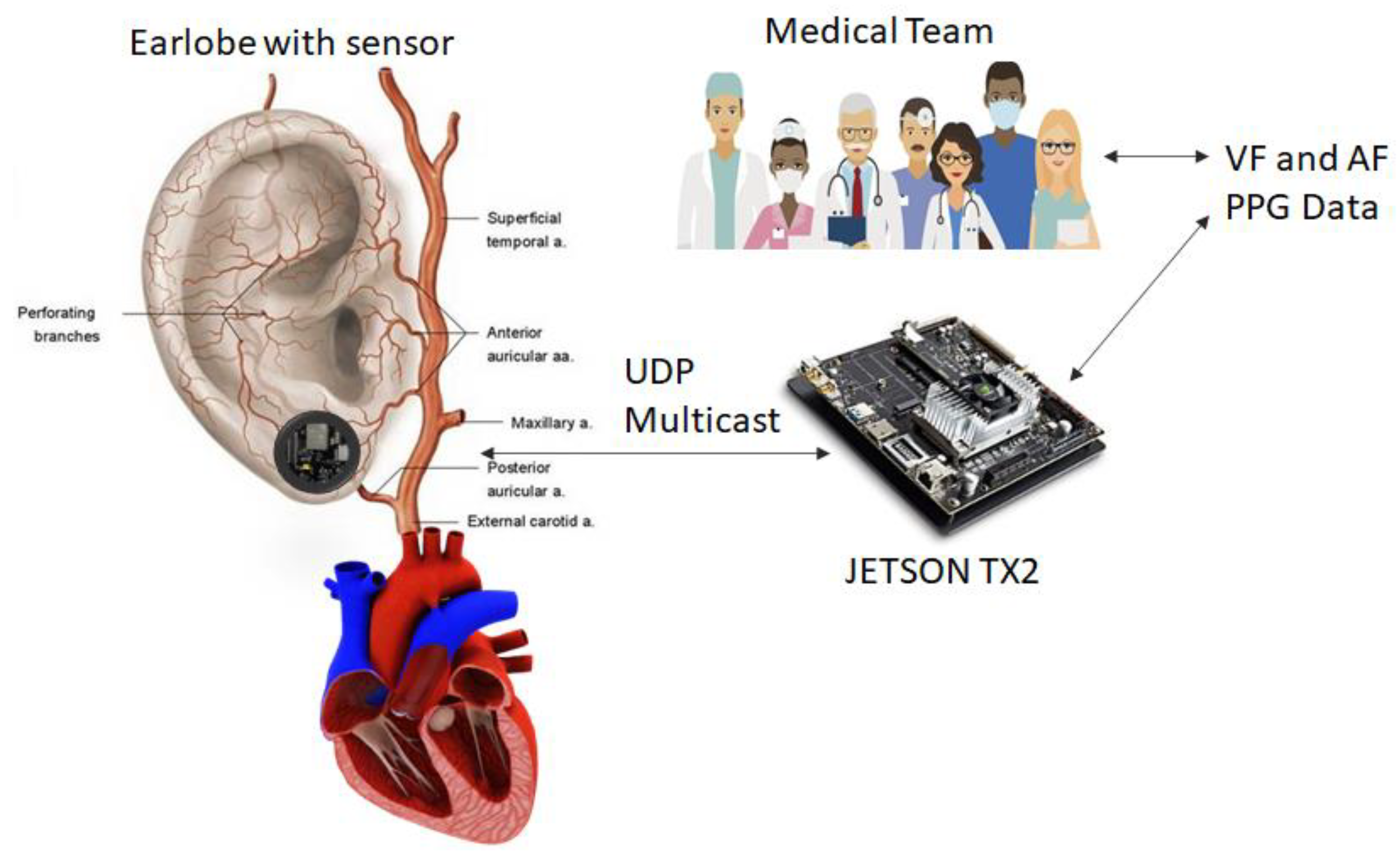 Mathematics 11 01781 g006