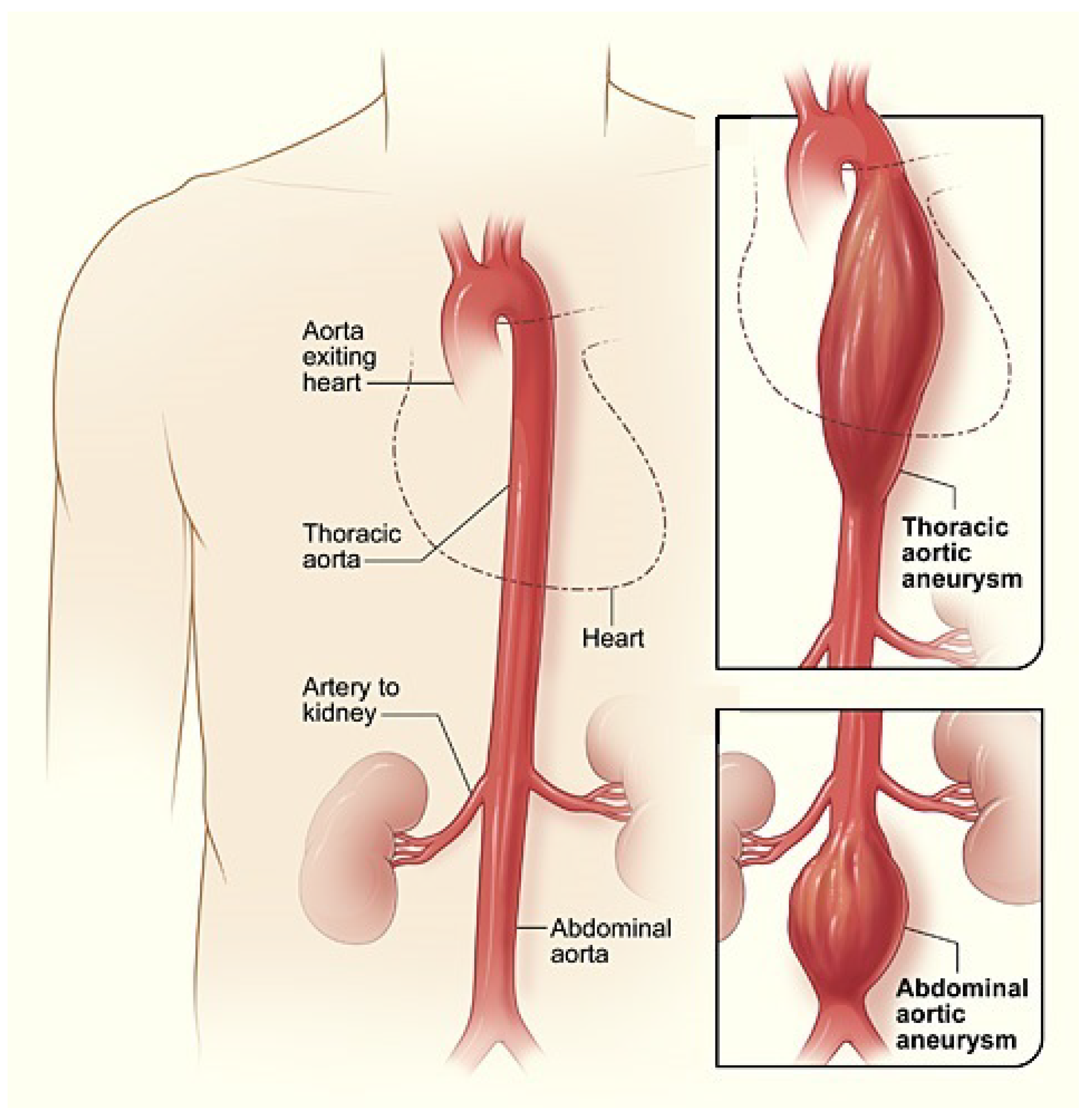 Mathematics 11 01831 g001