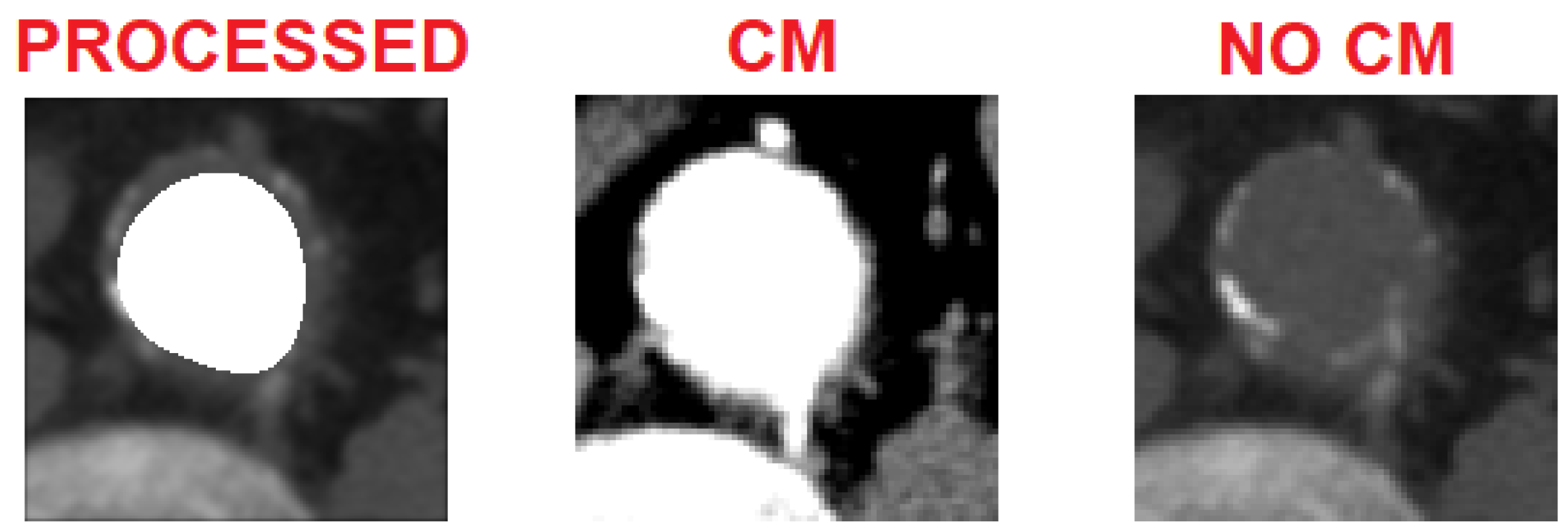 Mathematics 11 01831 g016