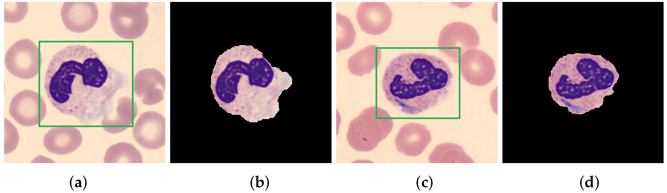 Mathematics 11 01965 g009 Mathematics 11 01965 g009