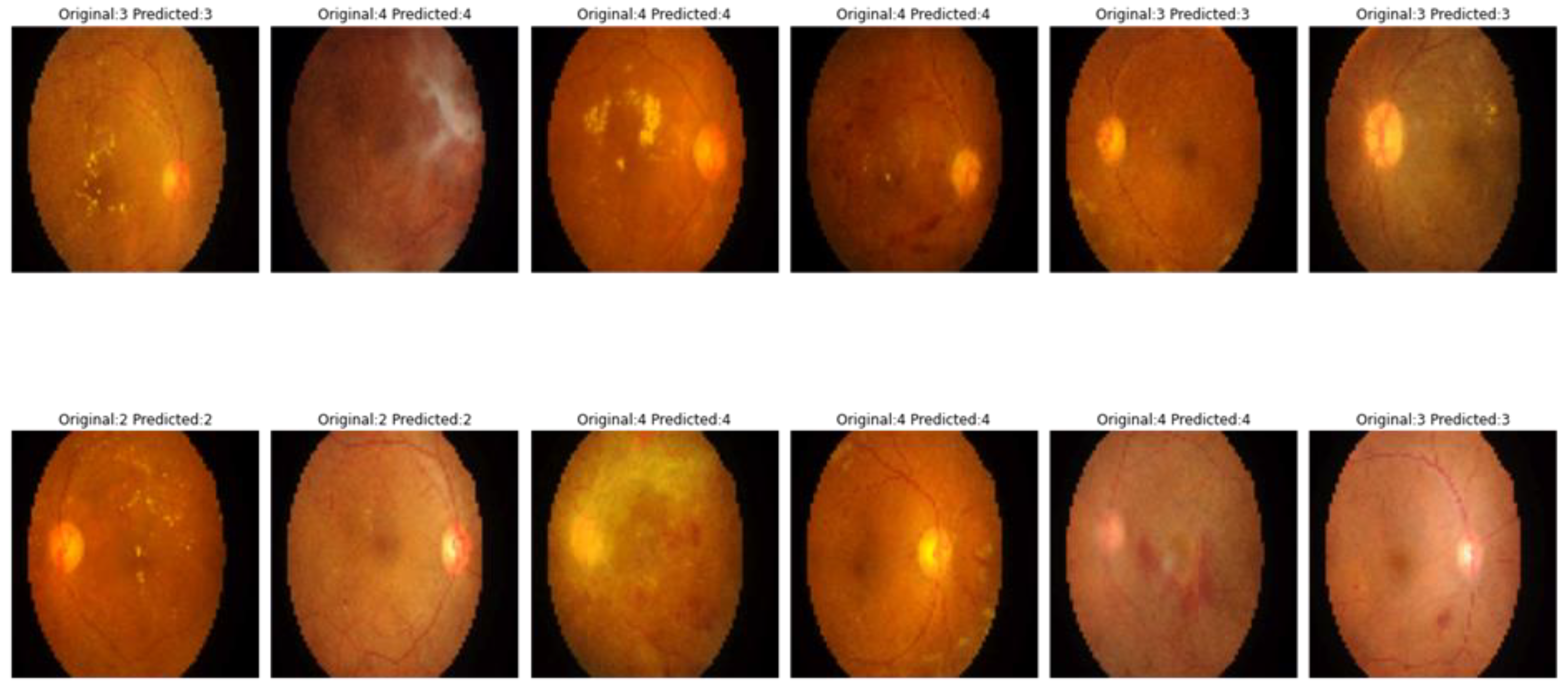 Mathematics 11 02008 g006