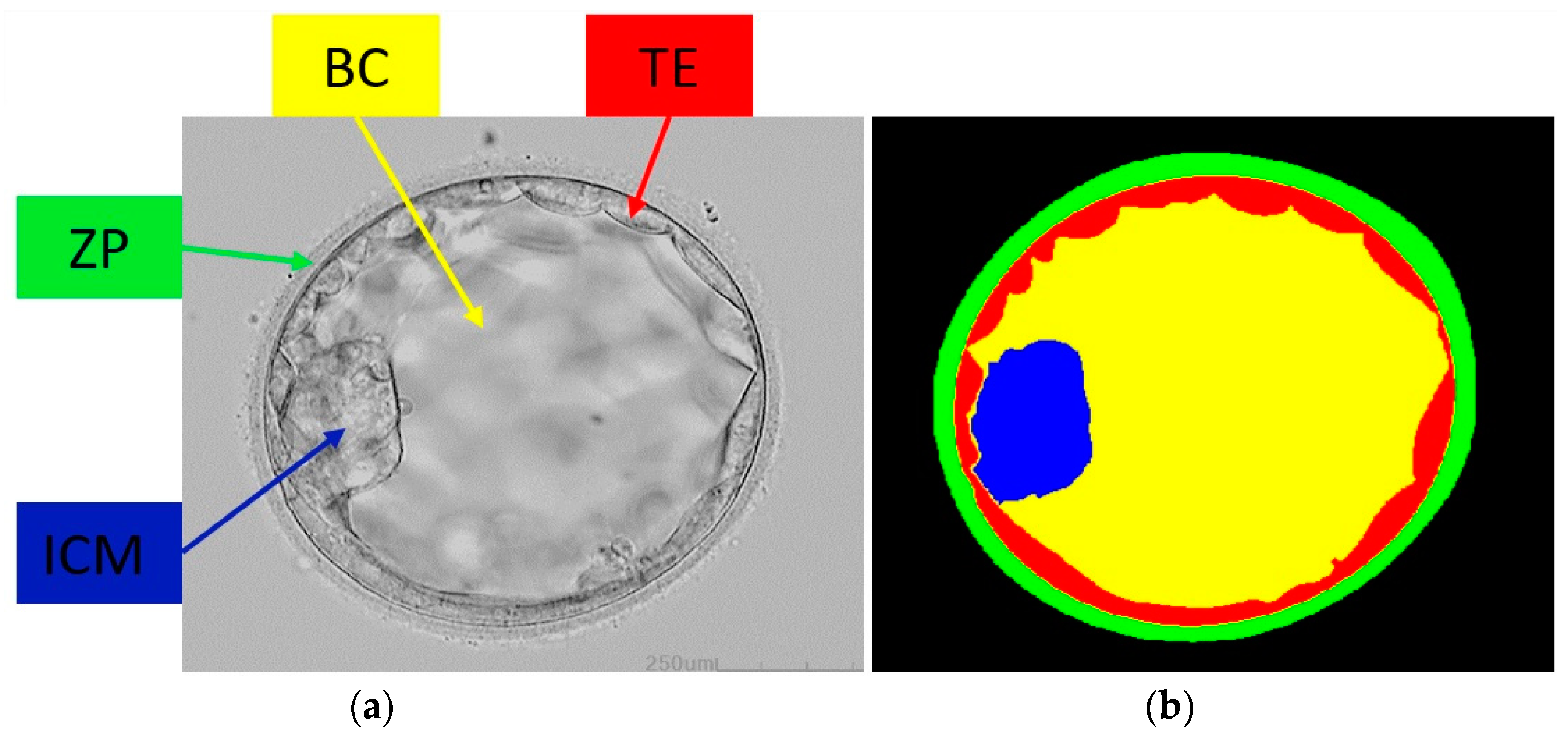 Mathematics 11 02023 g001 Mathematics 11 02023 g001
