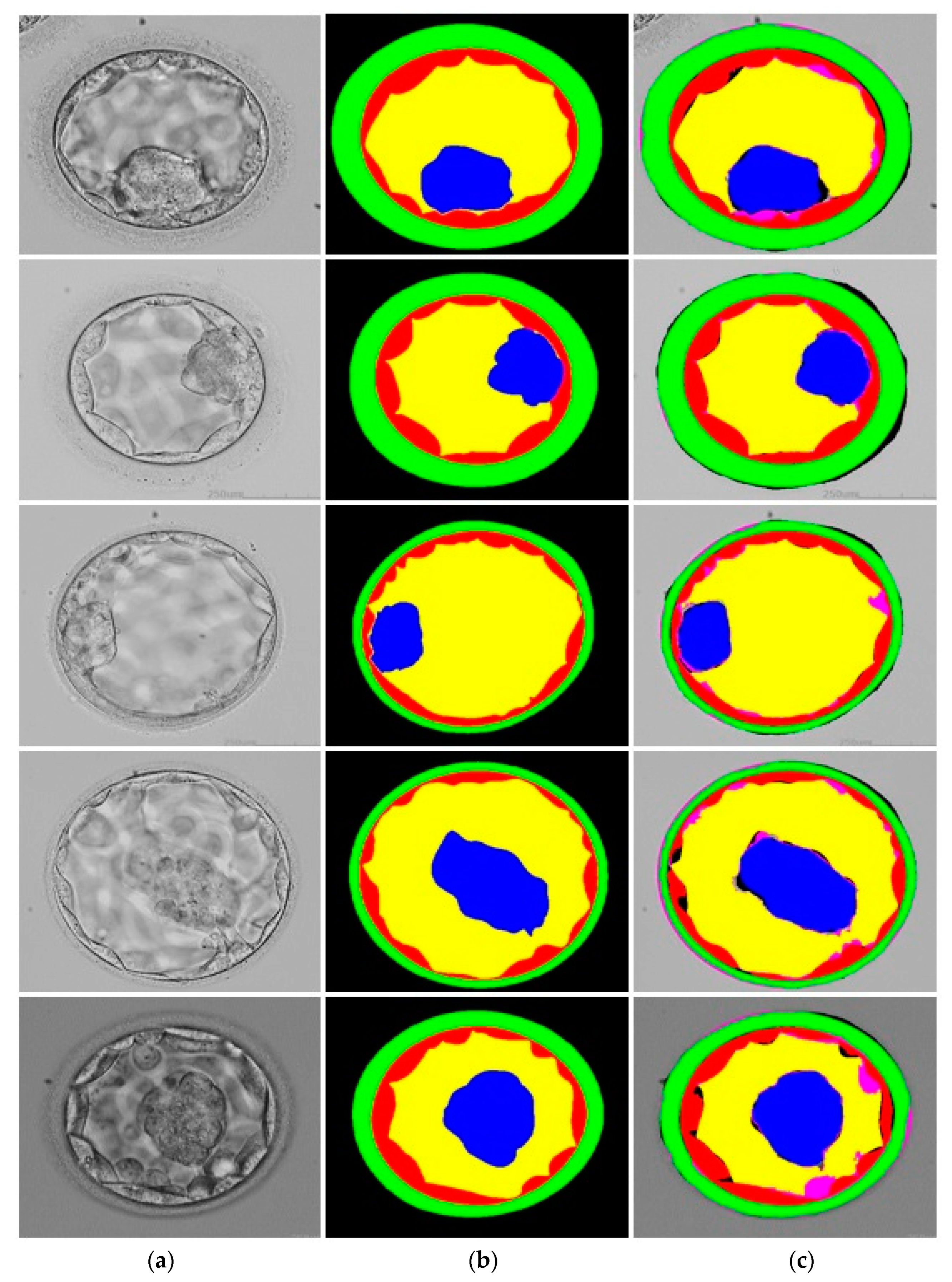 Mathematics 11 02023 g007 Mathematics 11 02023 g007