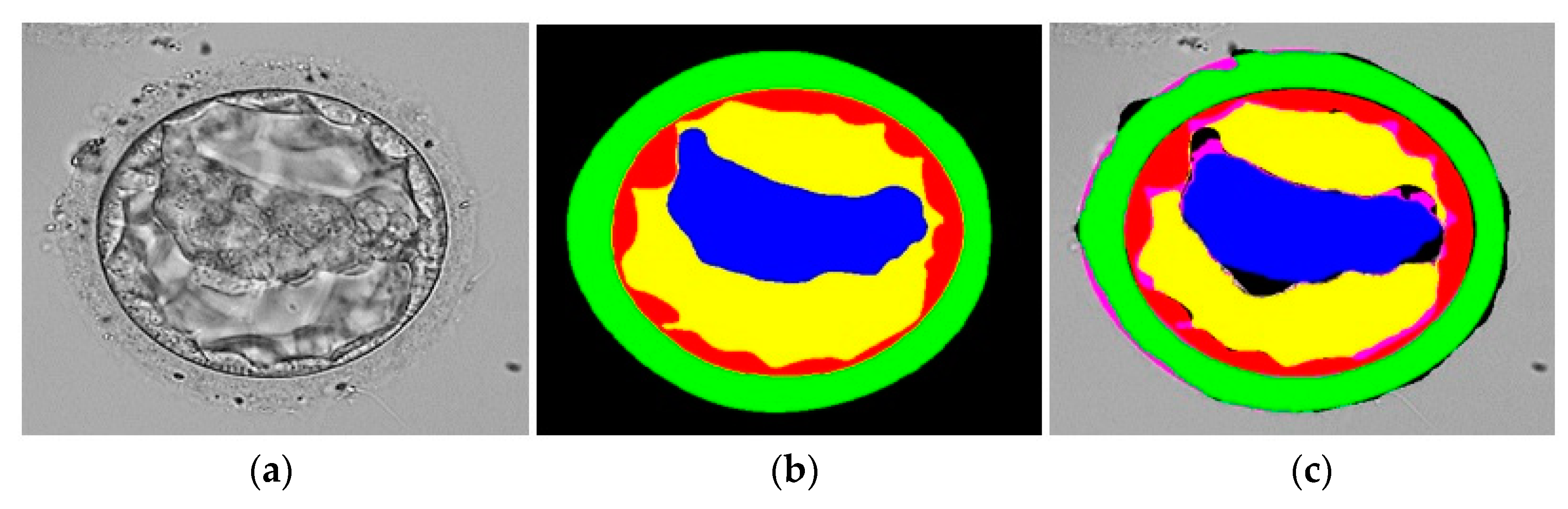 Mathematics 11 02023 g008 Mathematics 11 02023 g008