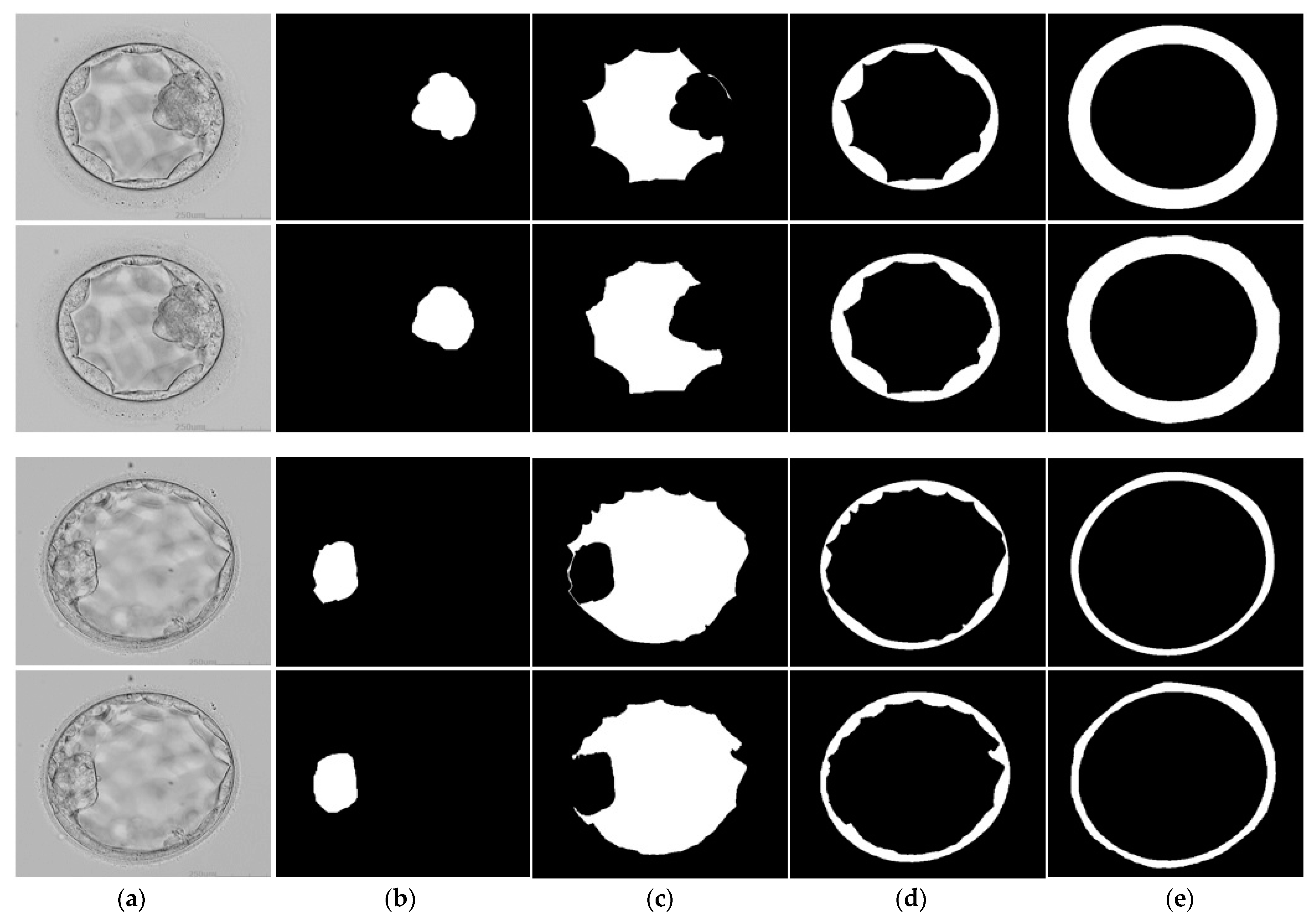 Mathematics 11 02023 g009 Mathematics 11 02023 g009