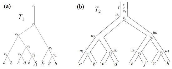 Constructing an Evolutionary Tree and Path–Cycle Graph Evolution along It