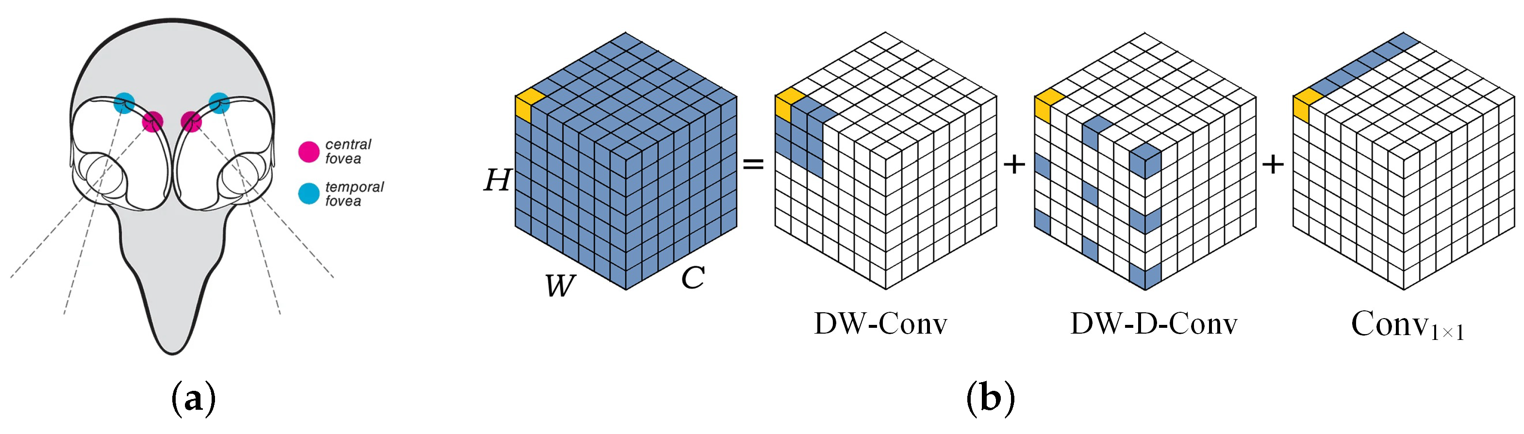 Mathematics 11 02093 g005