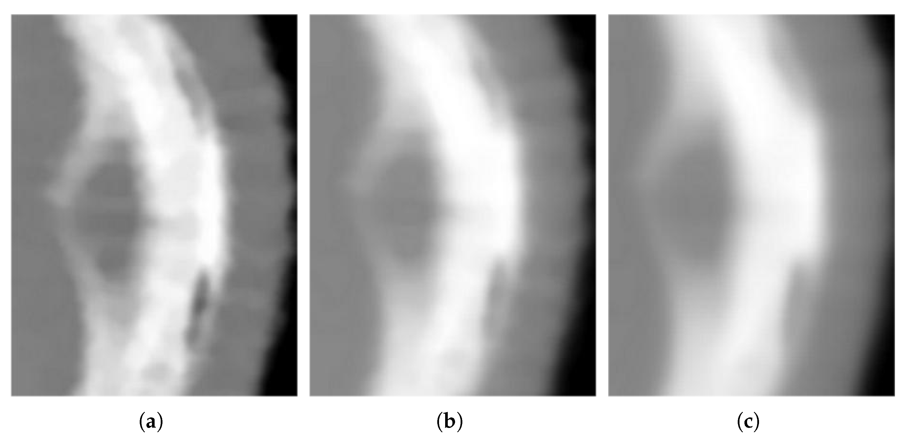 Mathematics 11 02127 g003