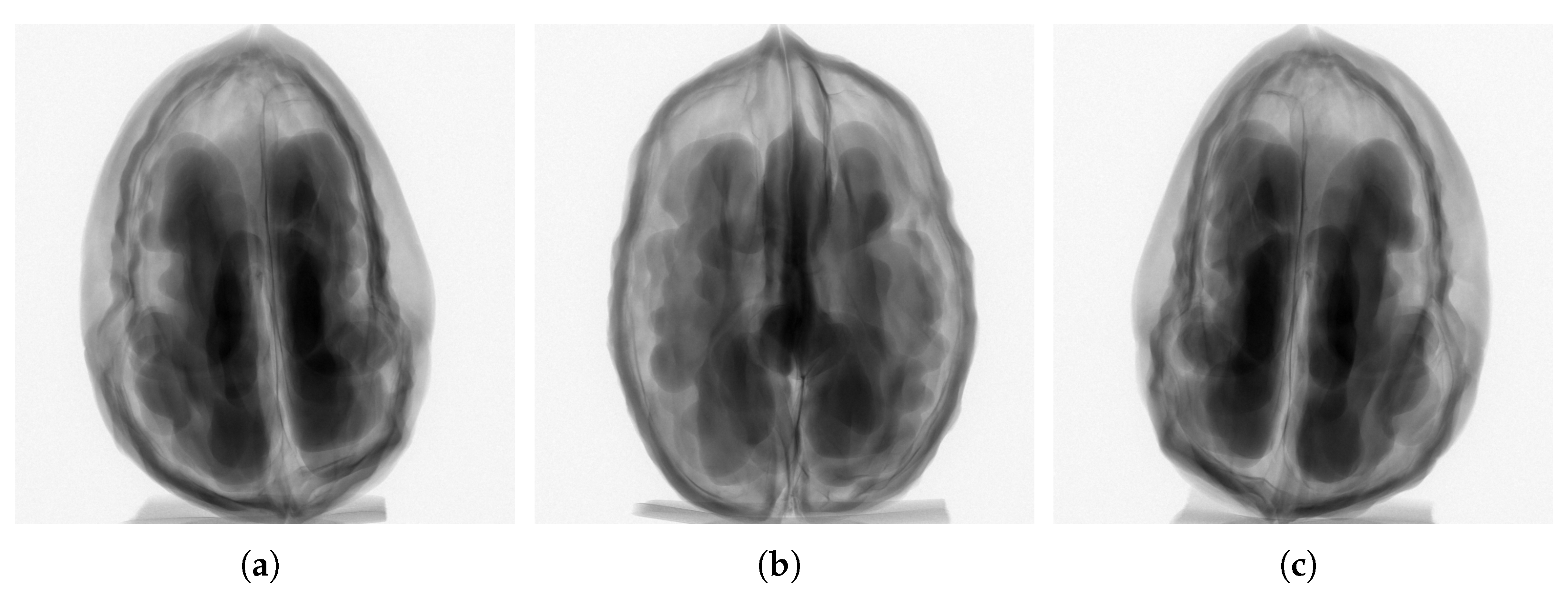 Mathematics 11 02127 g007
