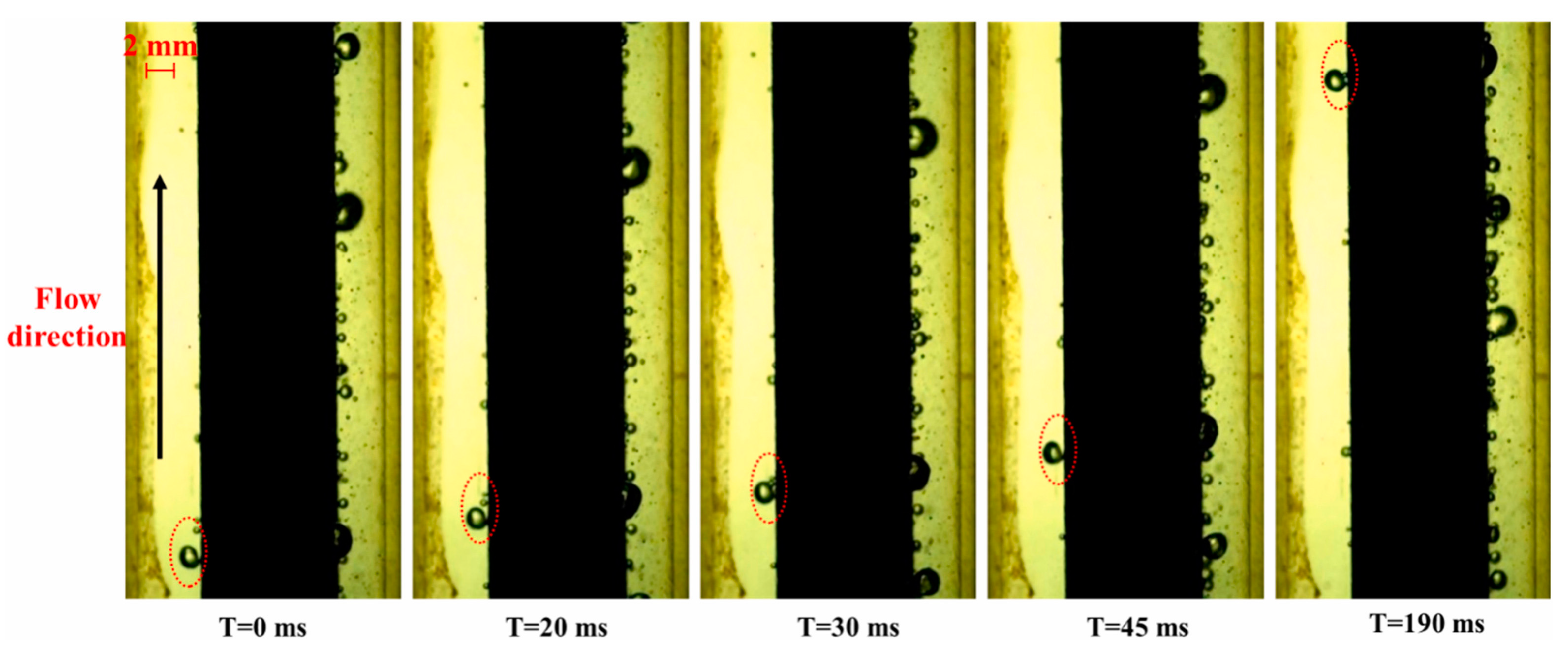 Mathematics 11 02197 g005