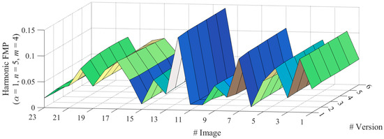 Representing Blurred Image without Deblurring