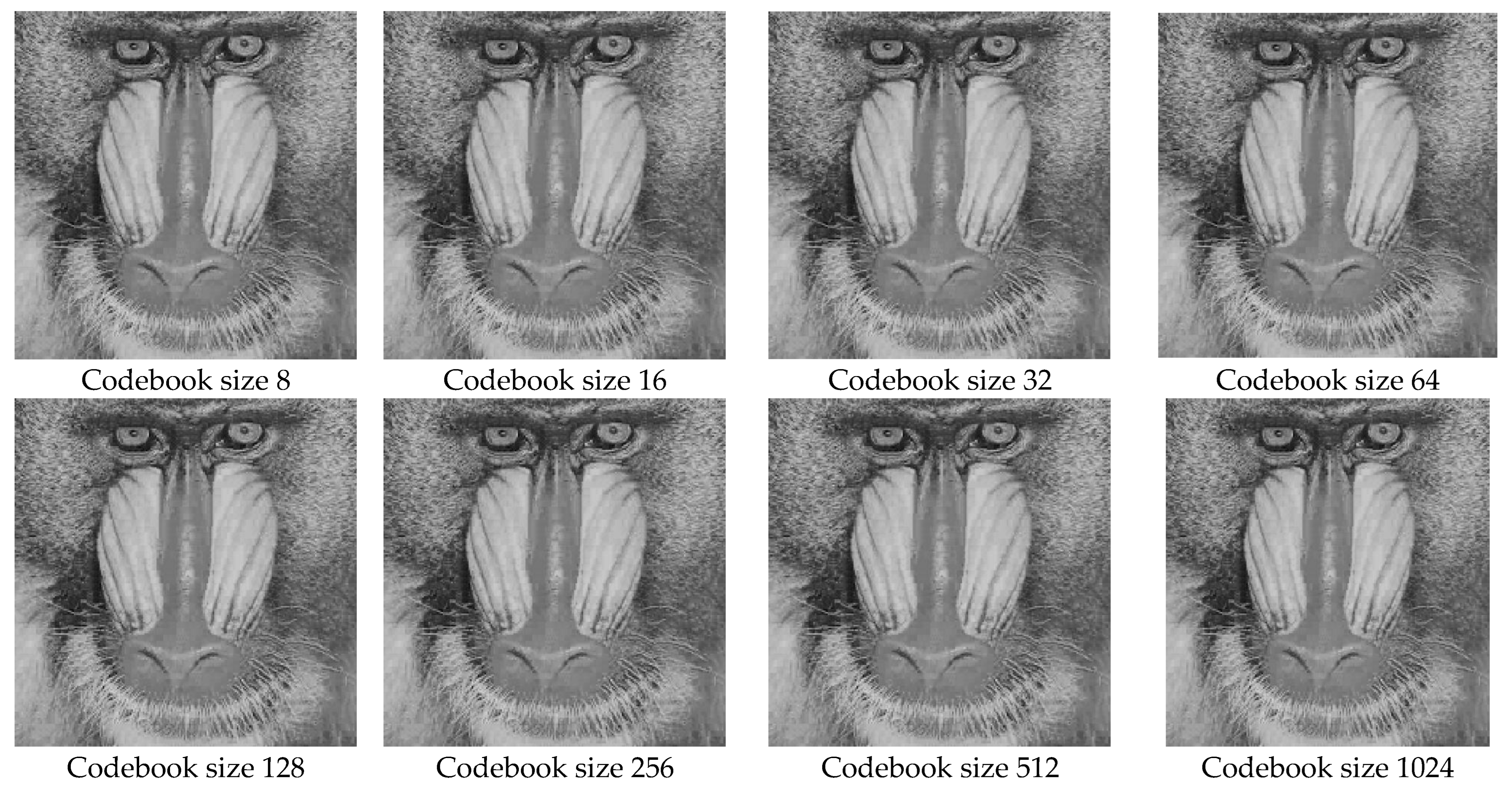 Mathematics 11 02364 g006