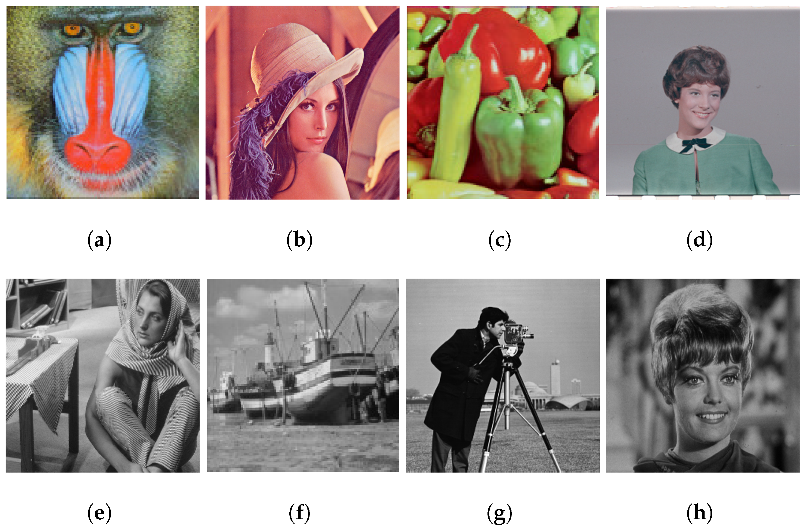 Mathematics 11 02396 g001