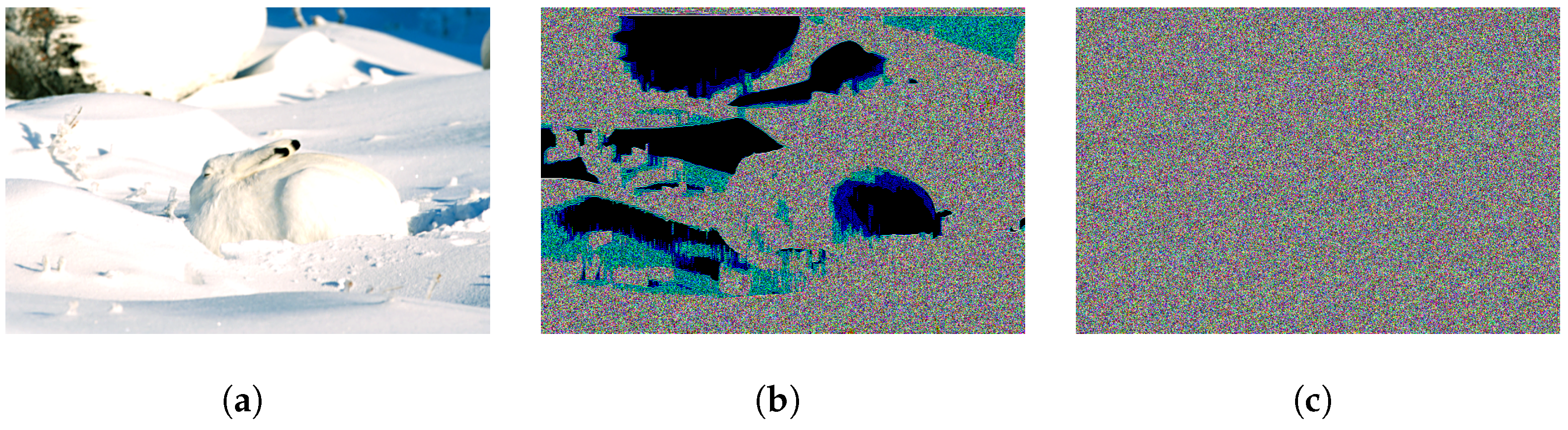 Mathematics 11 02396 g002