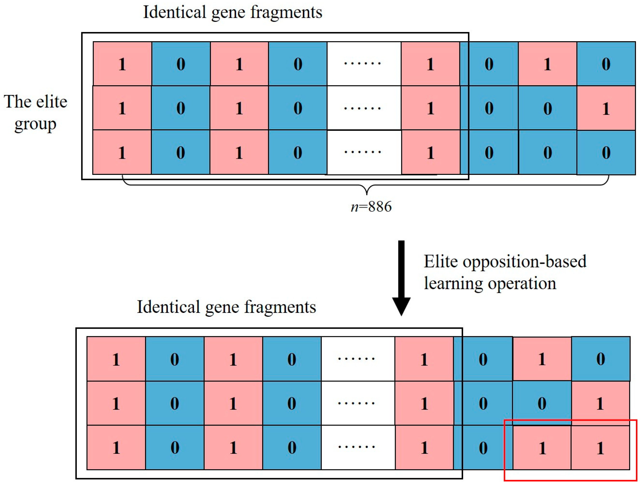 Mathematics 11 02400 g011