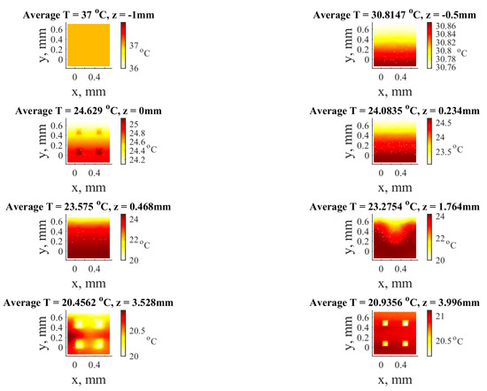 Application of Combined Micro- and Macro-Scale Models to