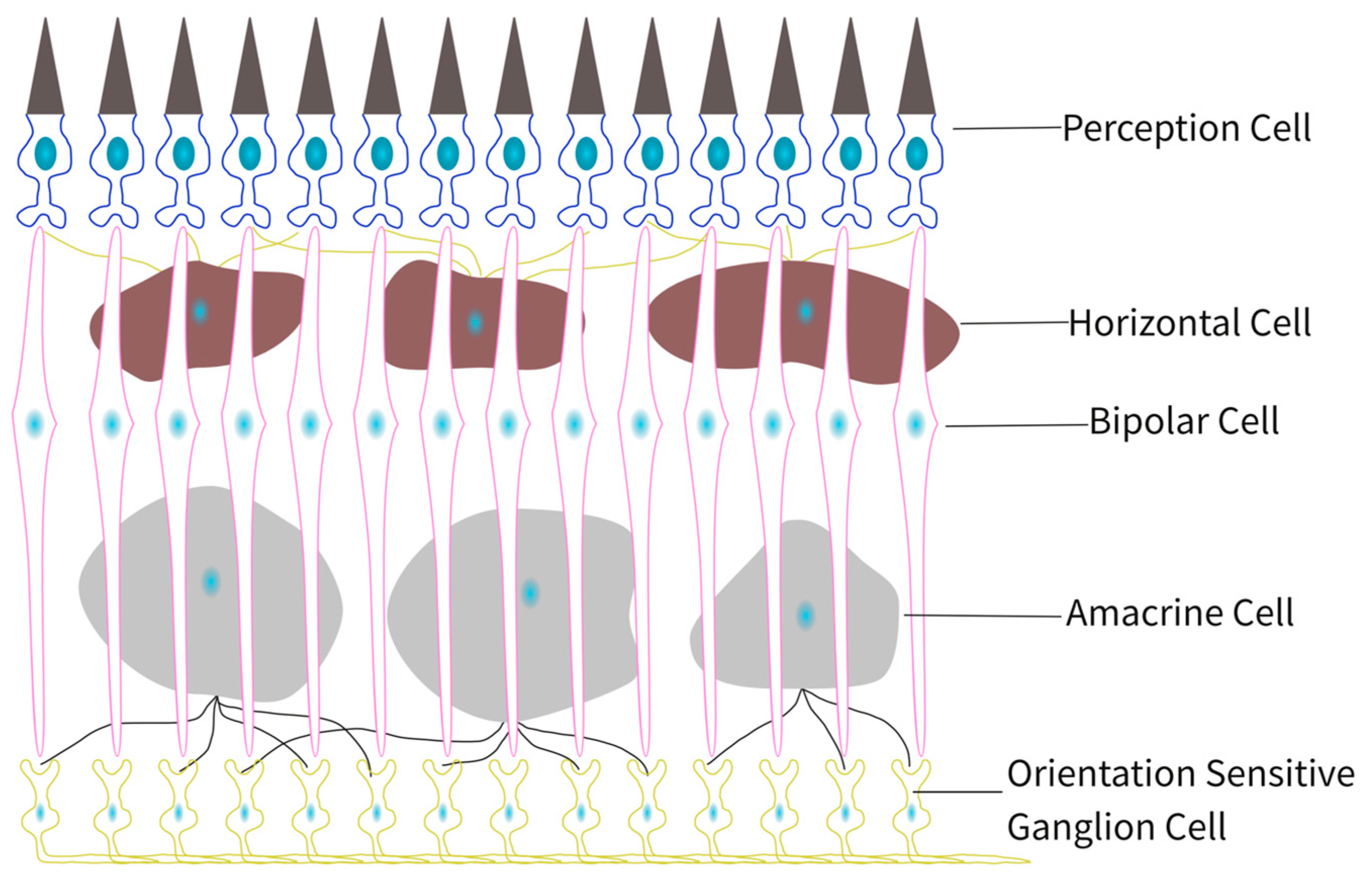 Mathematics 11 02715 g001