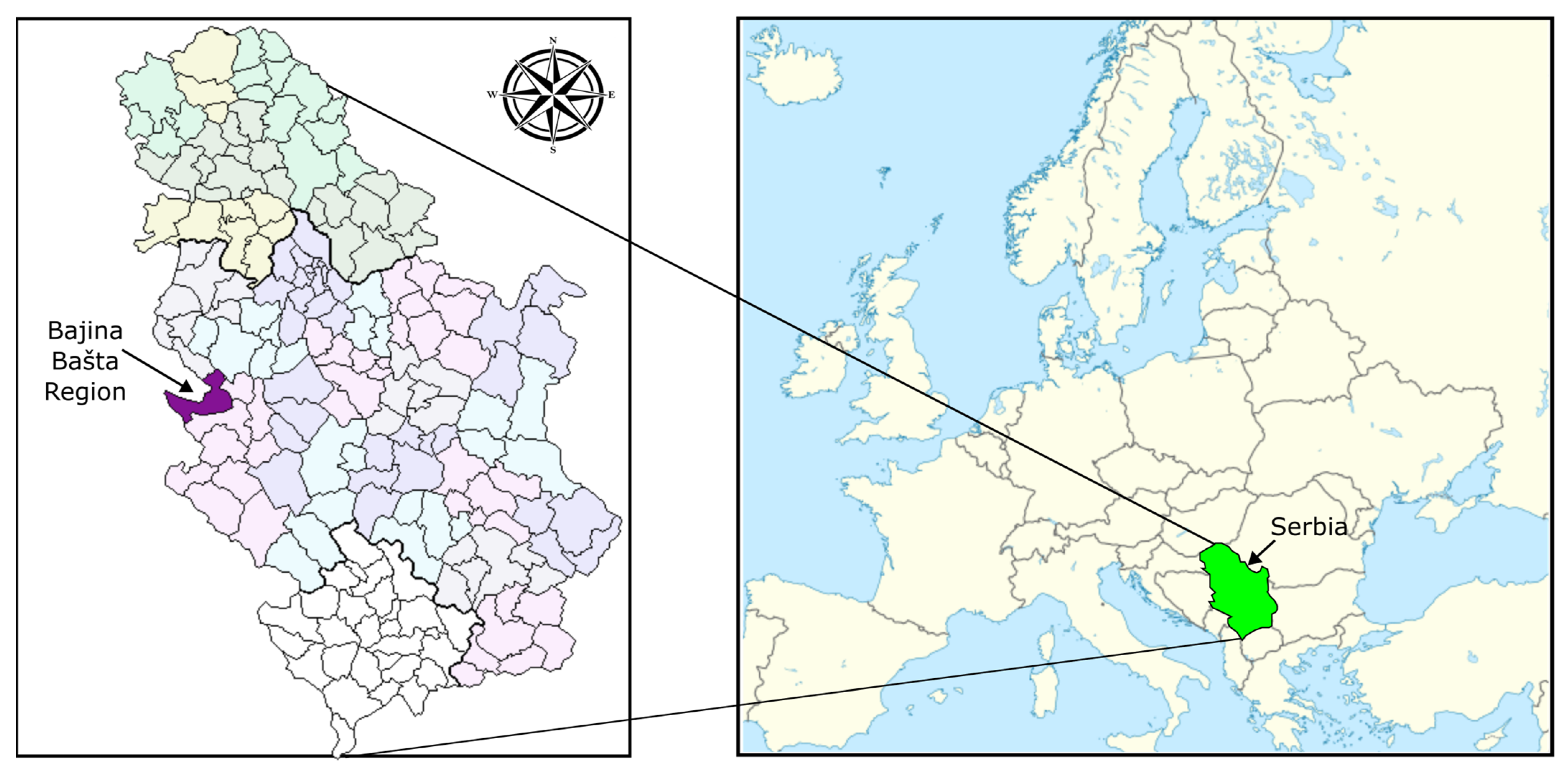 Mathematics 11 03105 g005