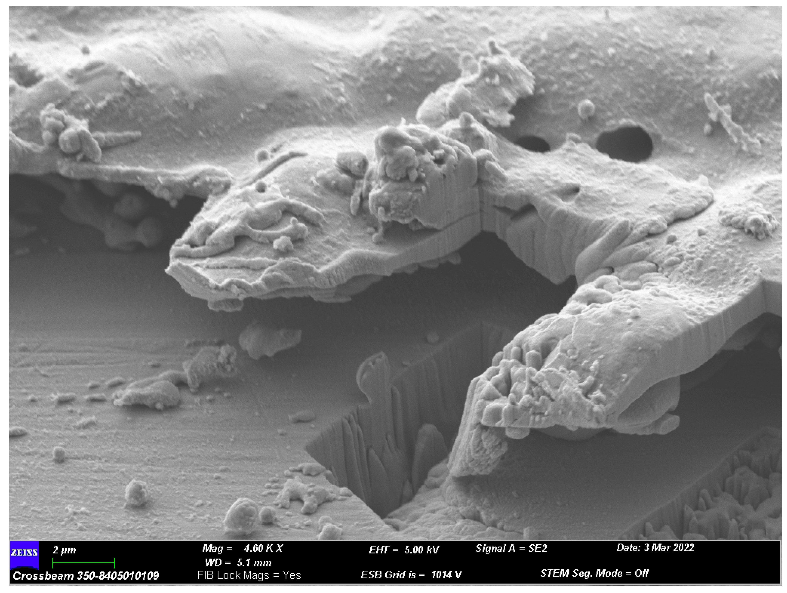 Mathematics 11 03174 g002 Mathematics 11 03174 g002