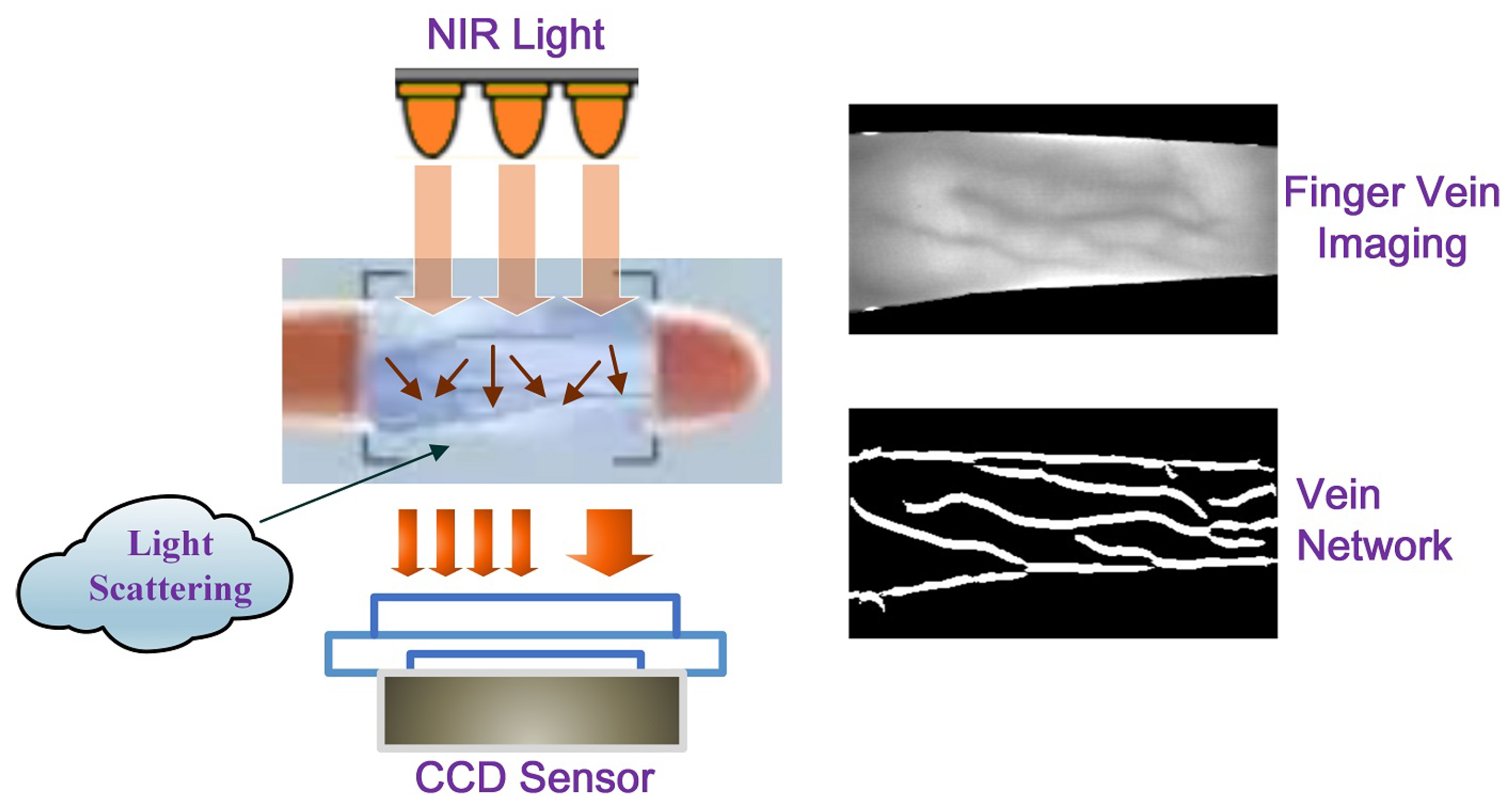 Mathematics 11 03190 g001