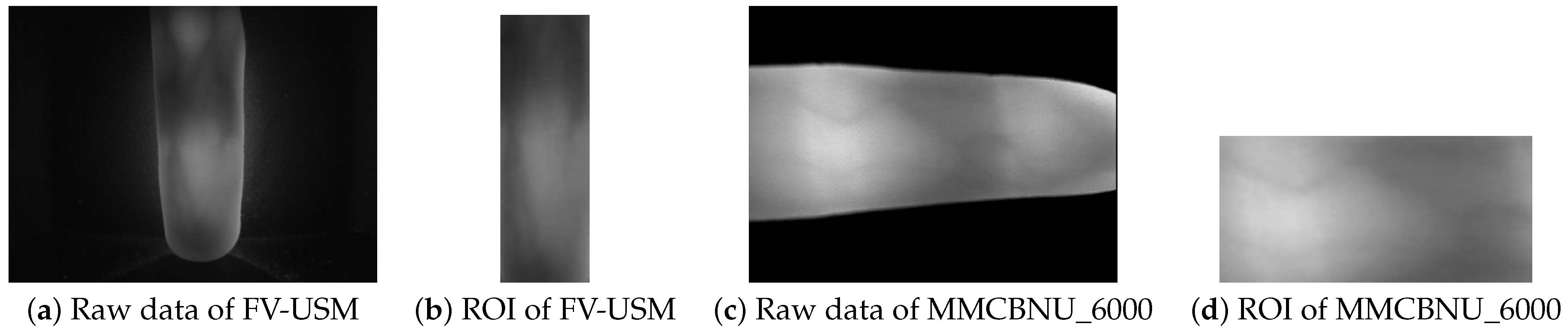 Mathematics 11 03190 g006