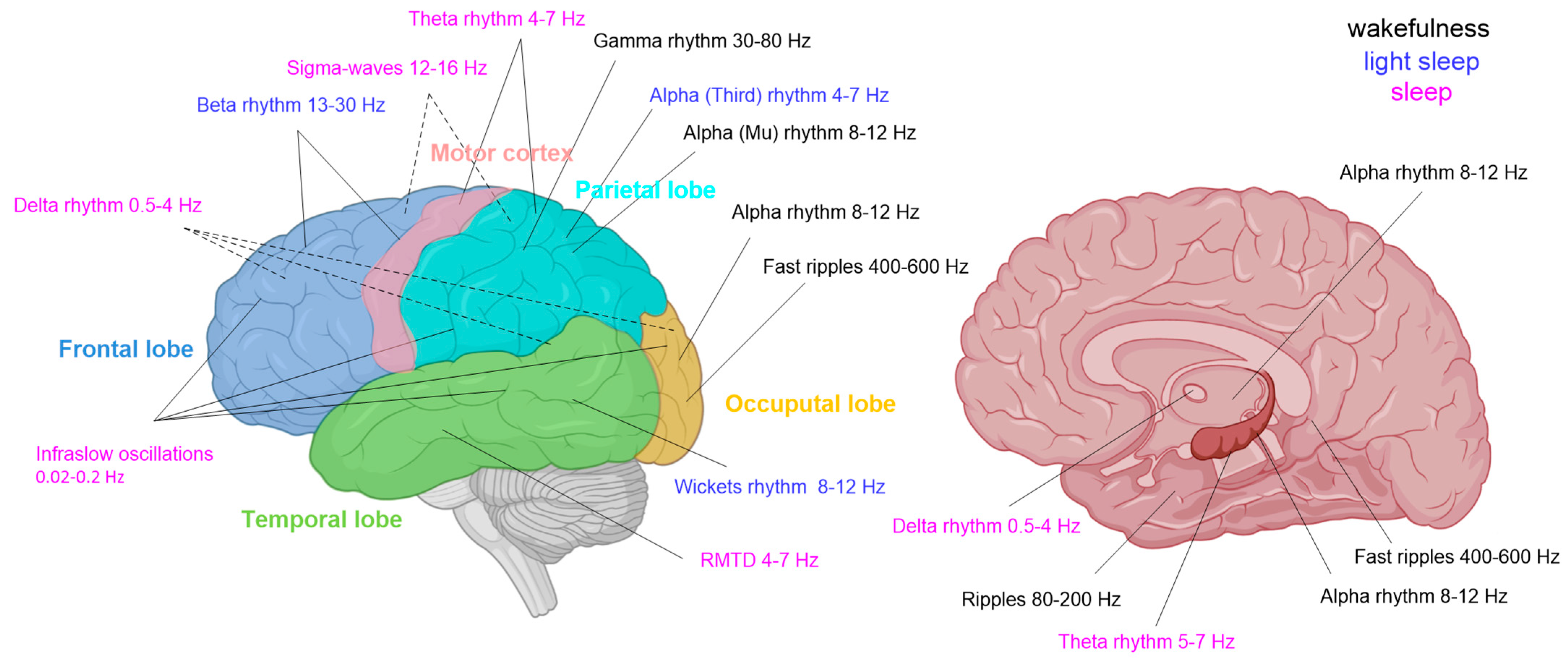 Mathematics 11 03307 g002