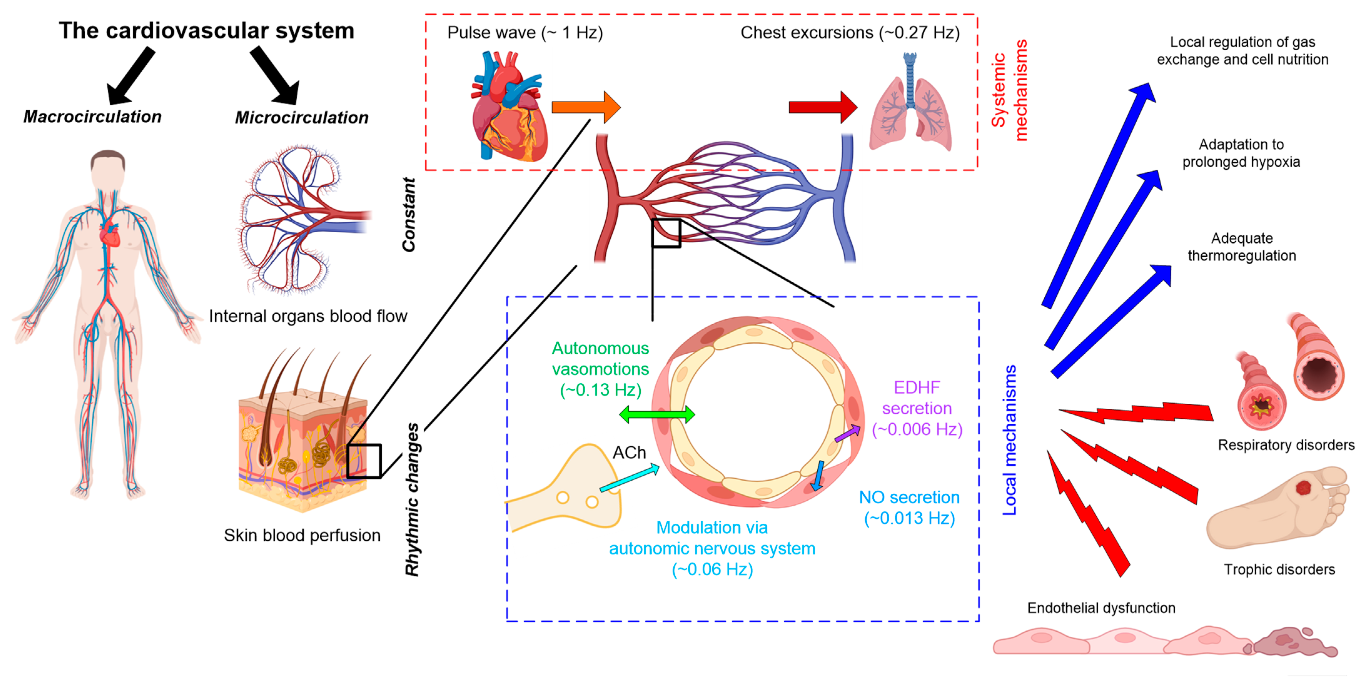 Mathematics 11 03307 g003