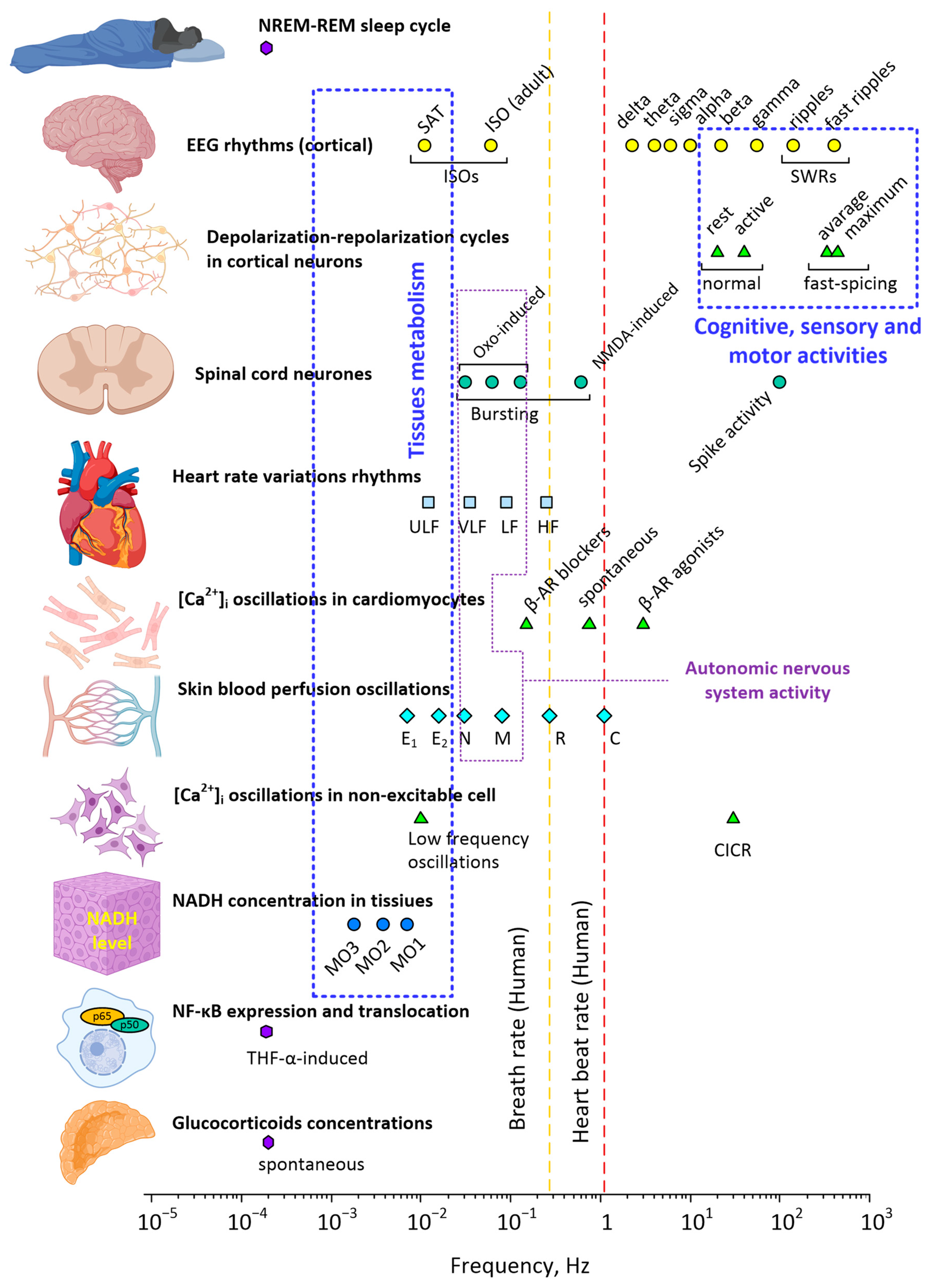 Mathematics 11 03307 g005