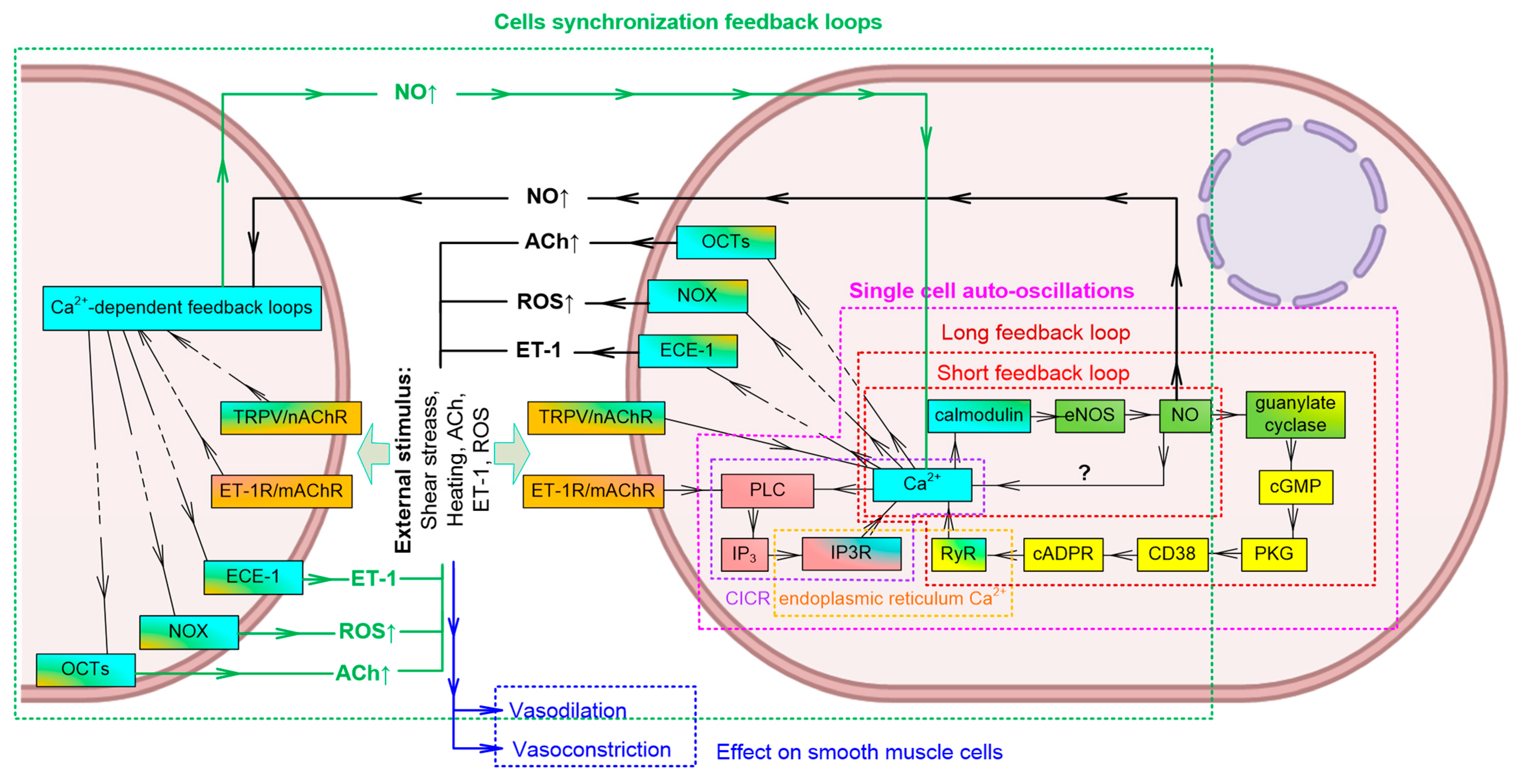 Mathematics 11 03307 g006