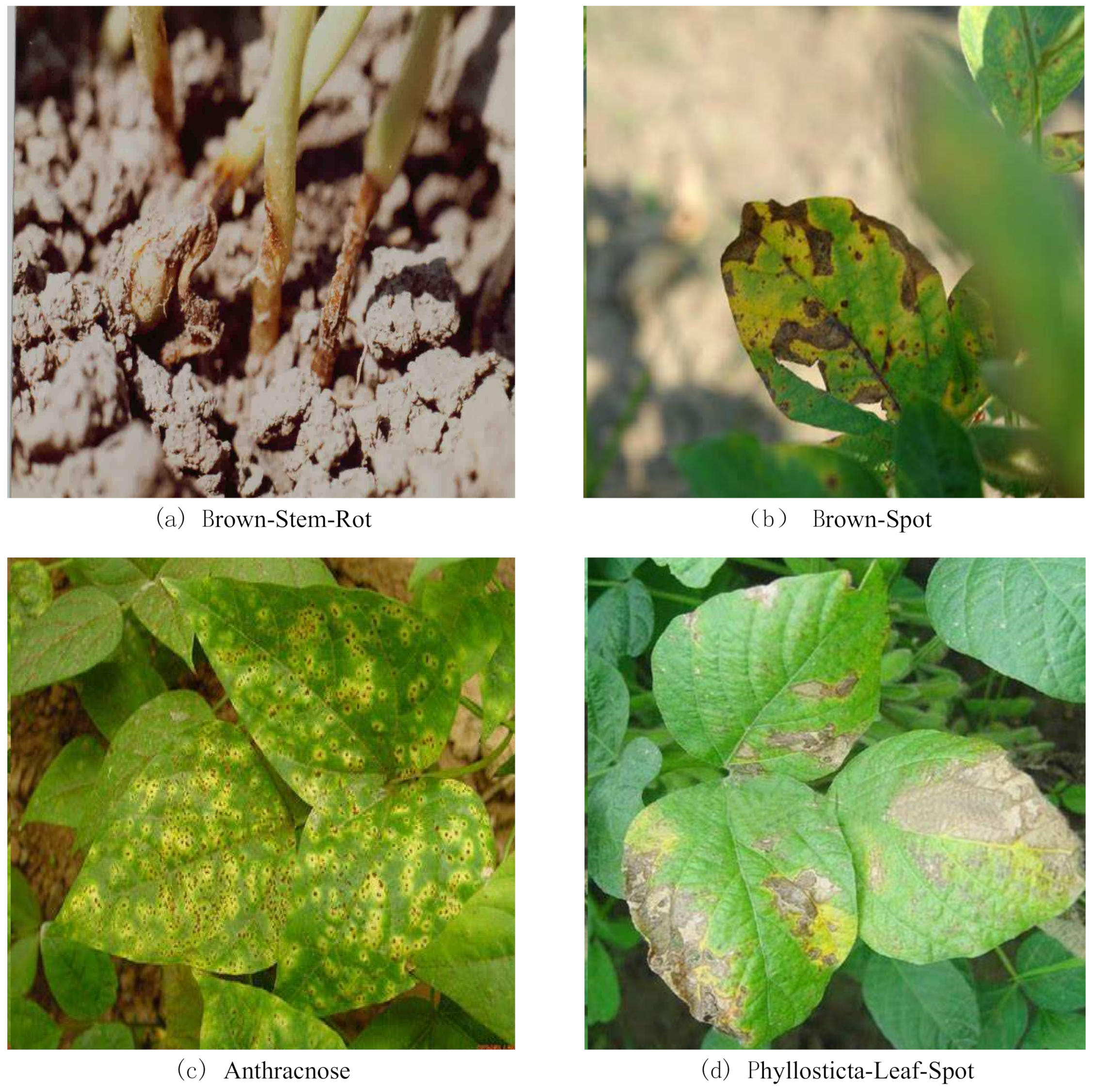 Mathematics 11 03312 g001