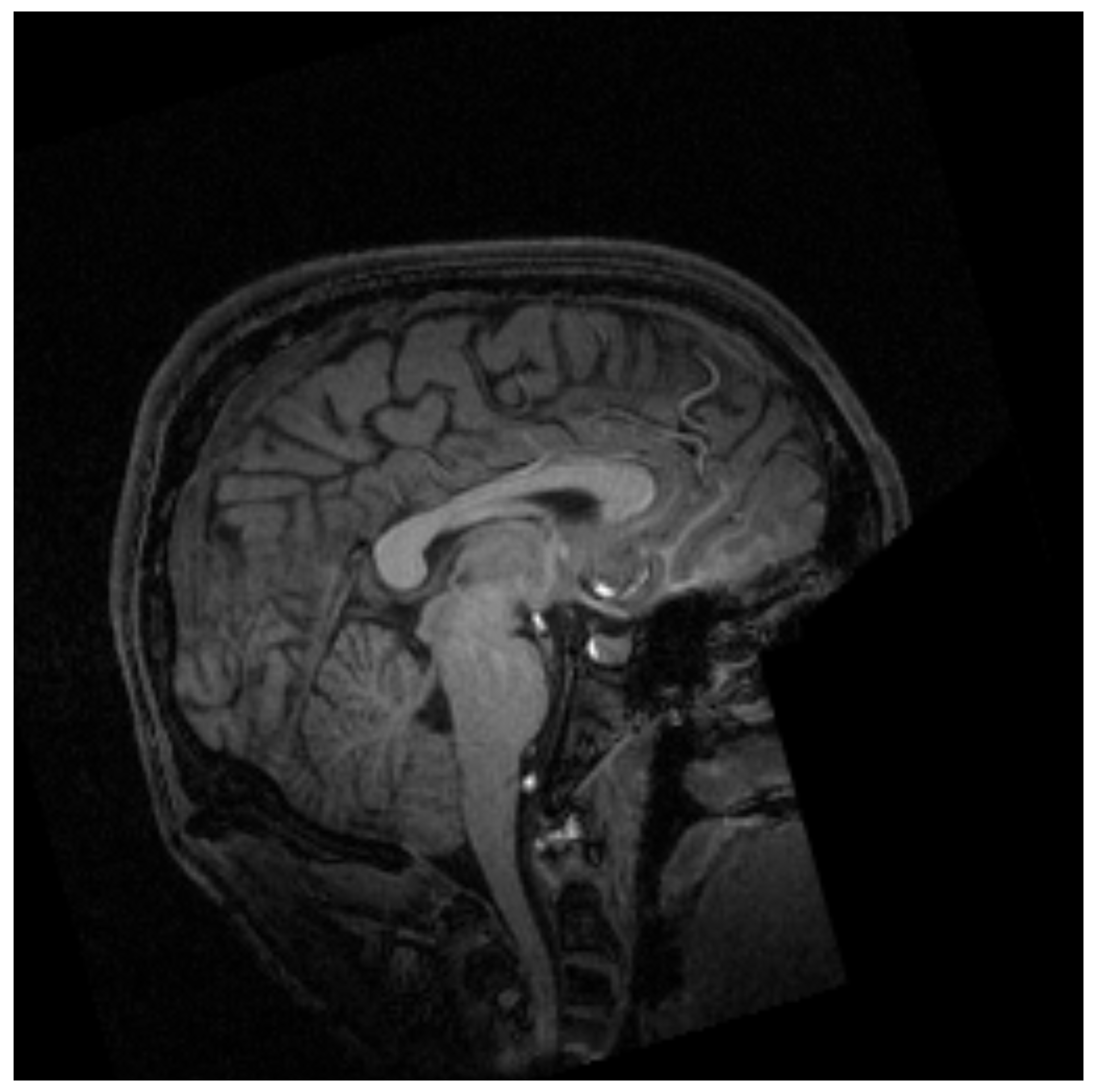 Mathematics 11 03573 g001