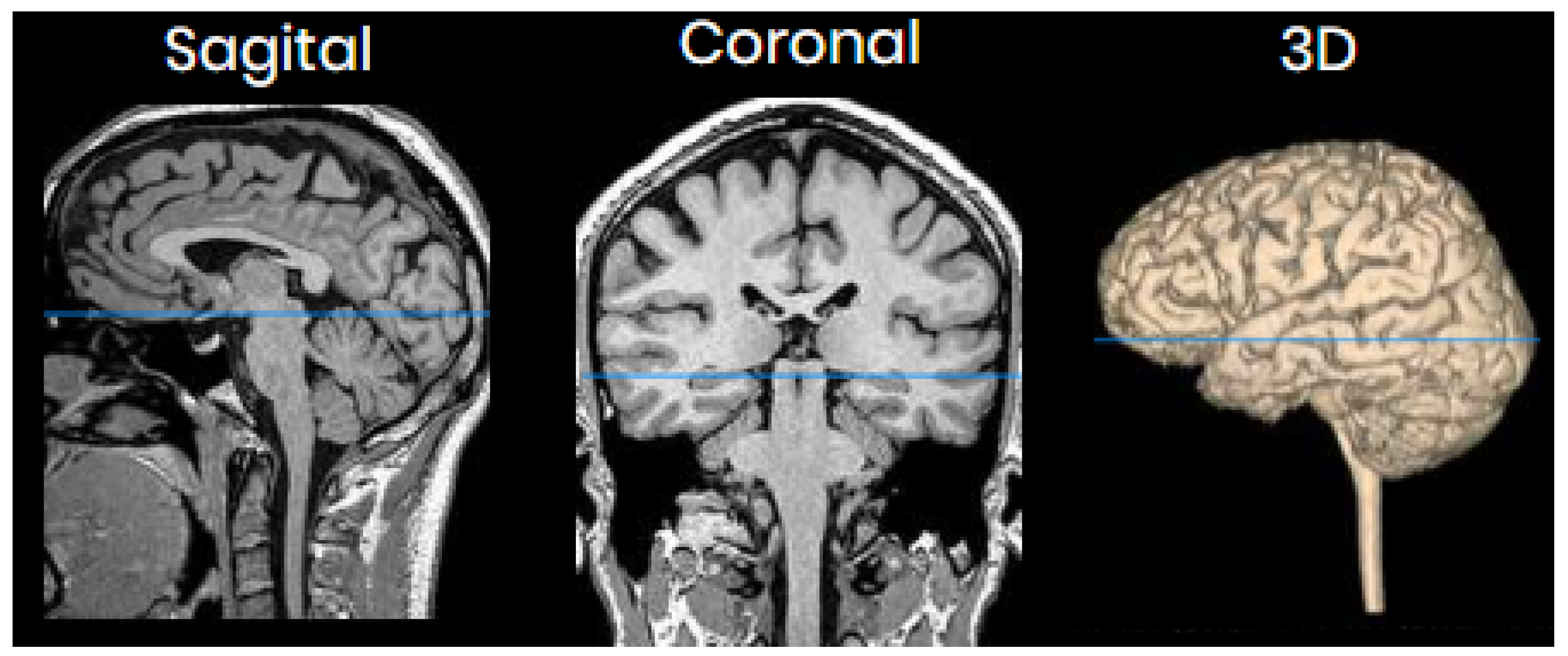 Mathematics 11 03573 g004