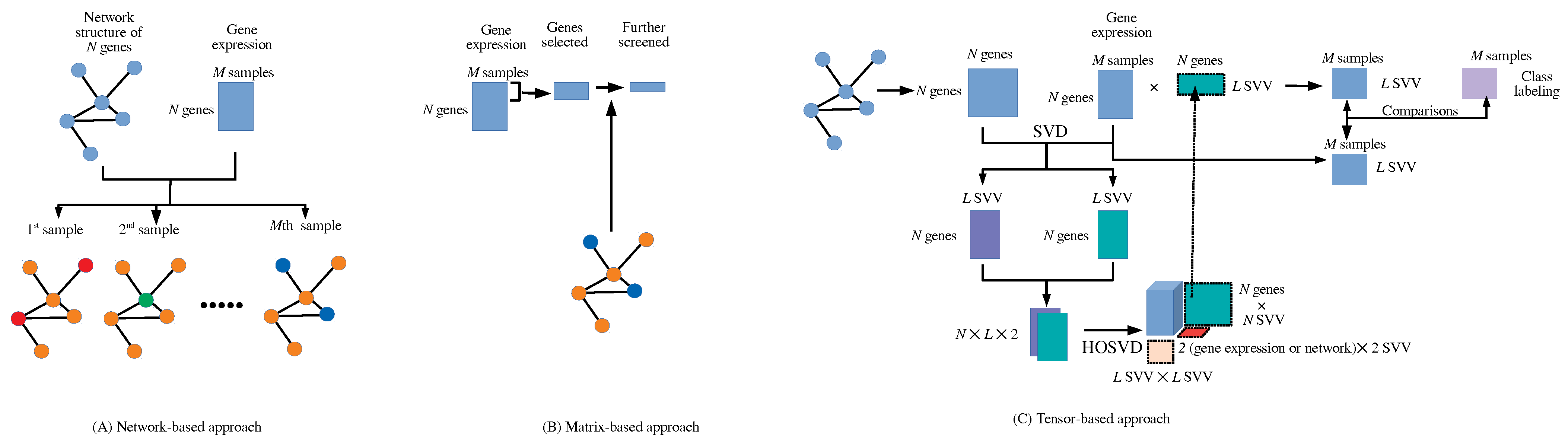 Mathematics 11 03655 g001