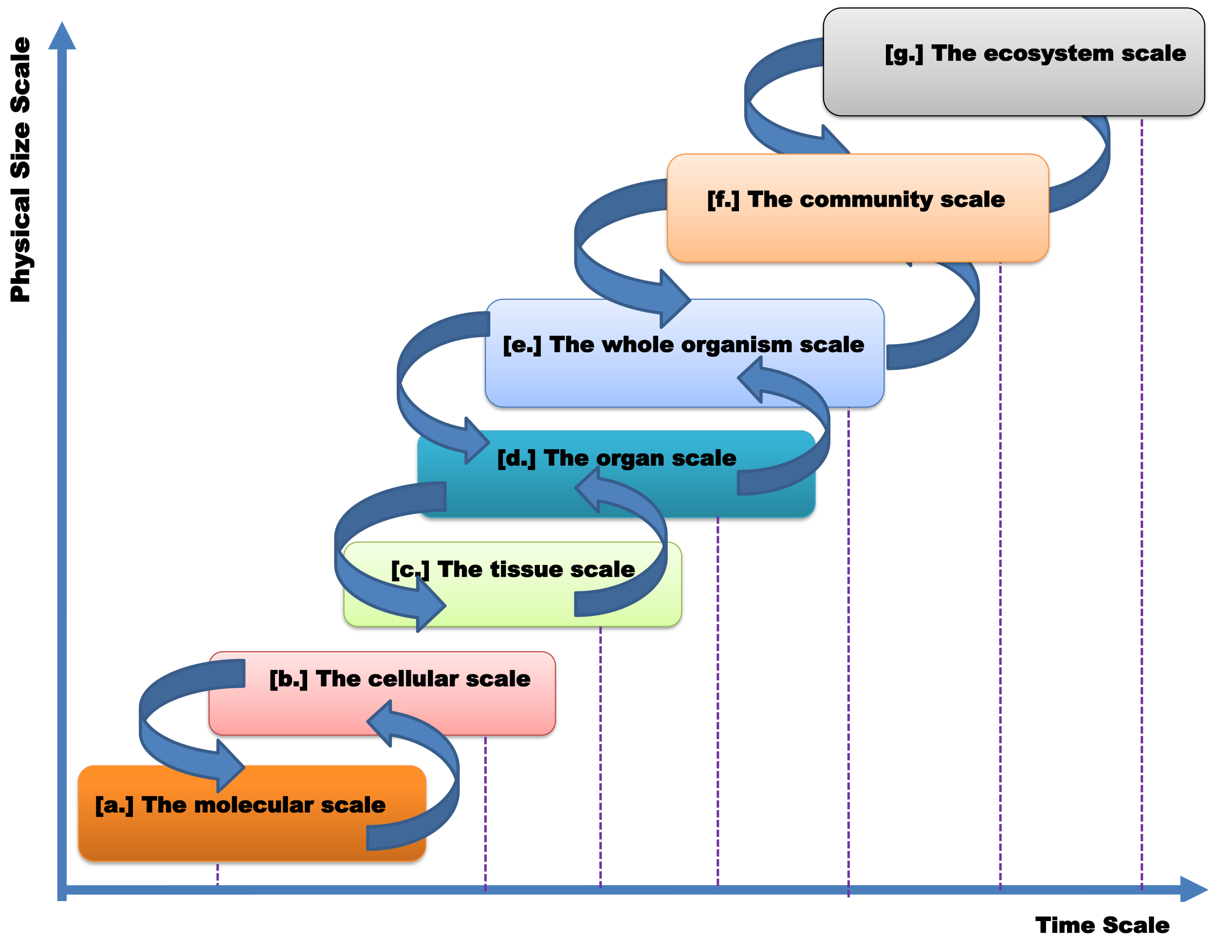 Mathematics 11 03874 g005