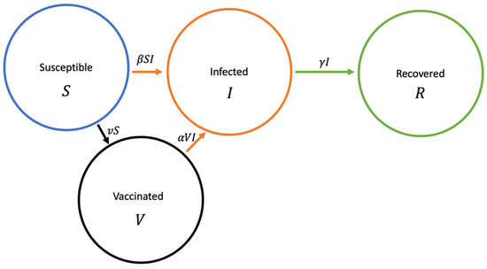 Epidemic Waves in a Stochastic SIRVI Epidemic Model Incorporating