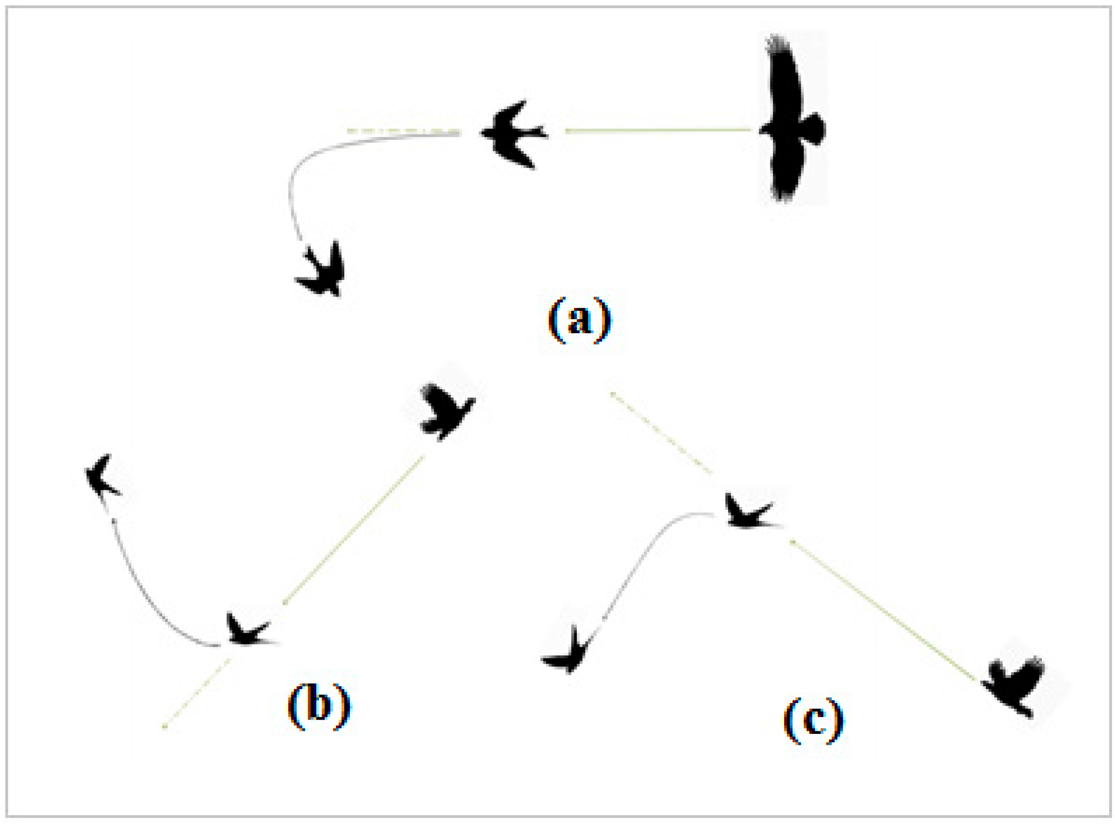 Mathematics 11 03962 g003