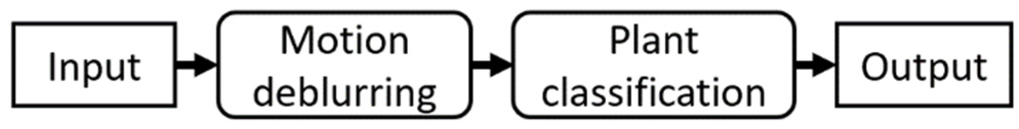 Mathematics 11 04011 g001