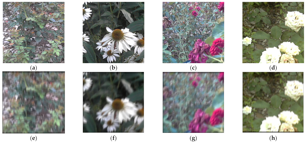 Mathematics 11 04011 g004