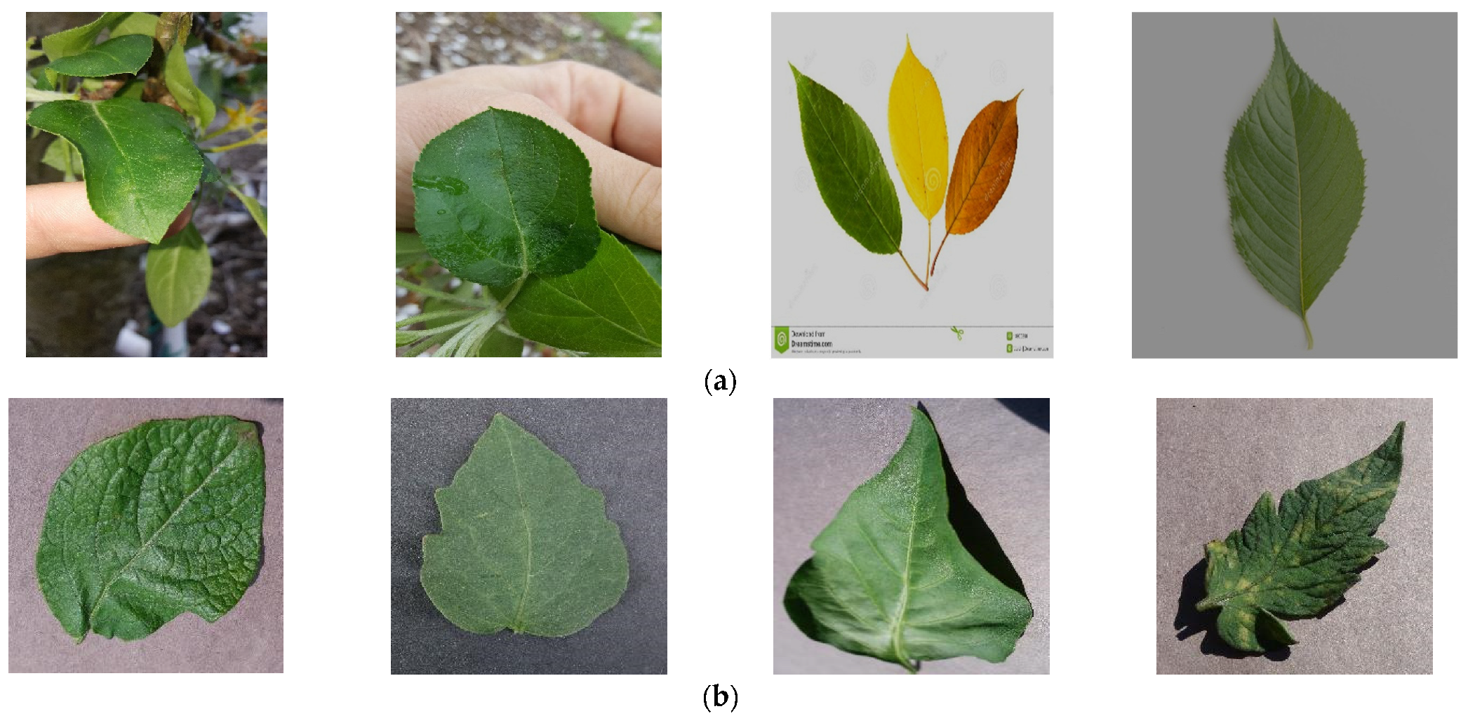 Mathematics 11 04011 g008