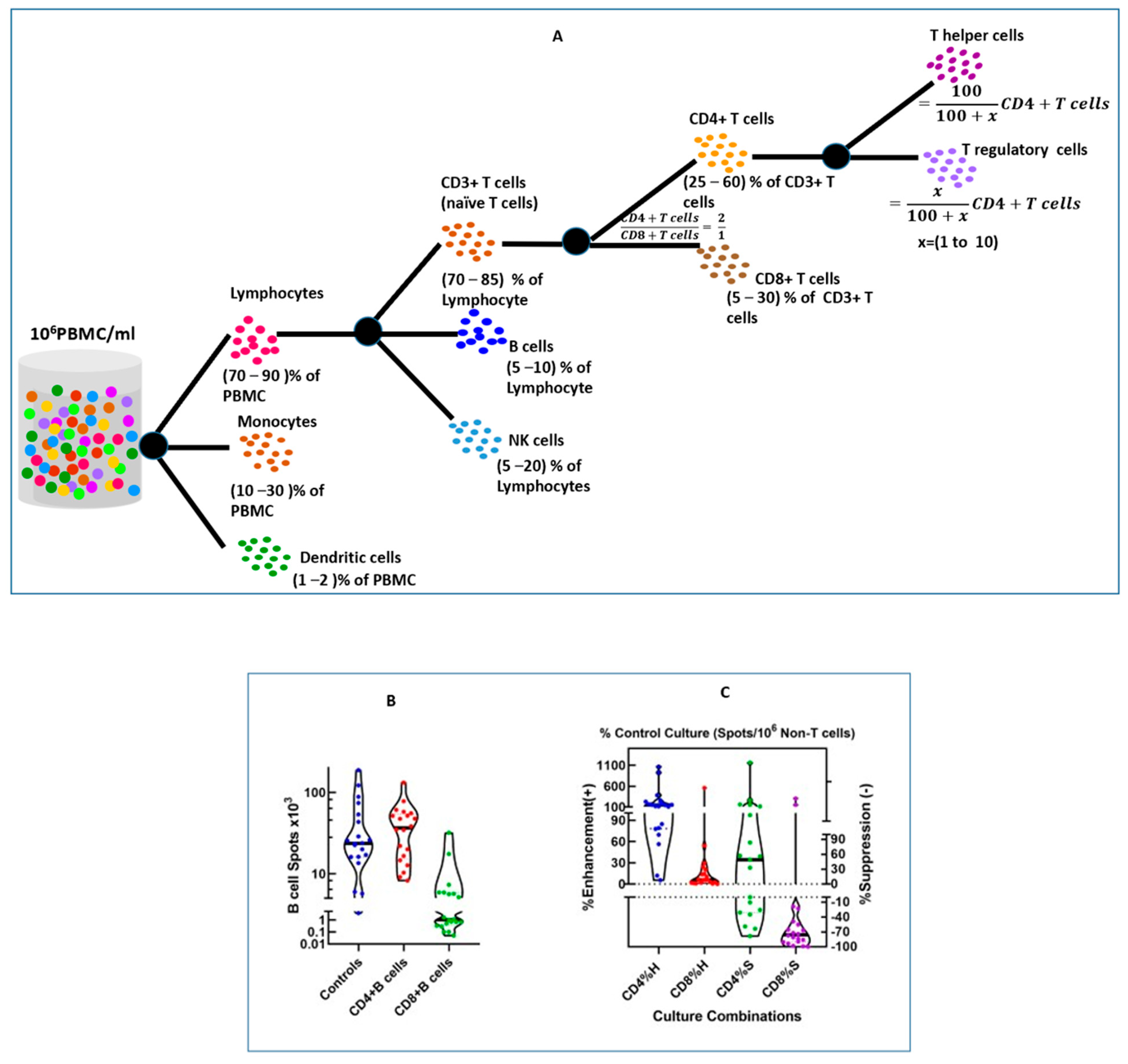 Mathematics 11 04017 g002
