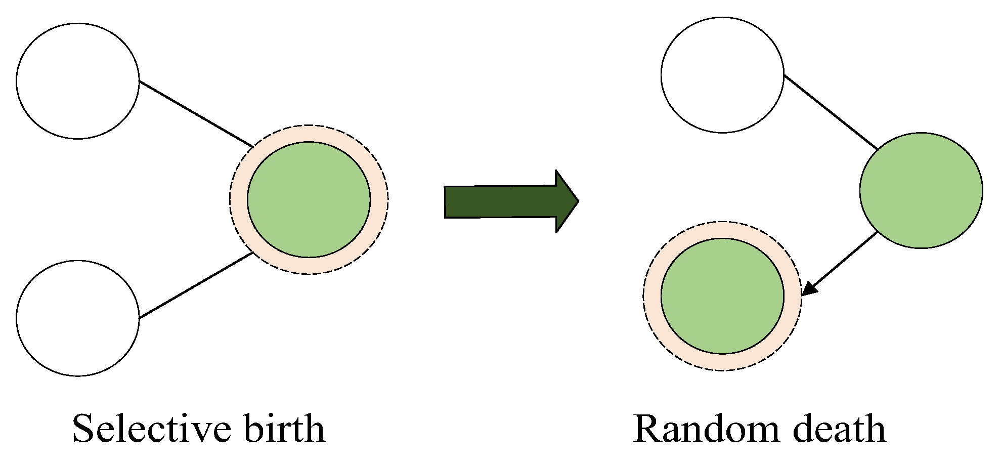 Mathematics 11 04091 g006