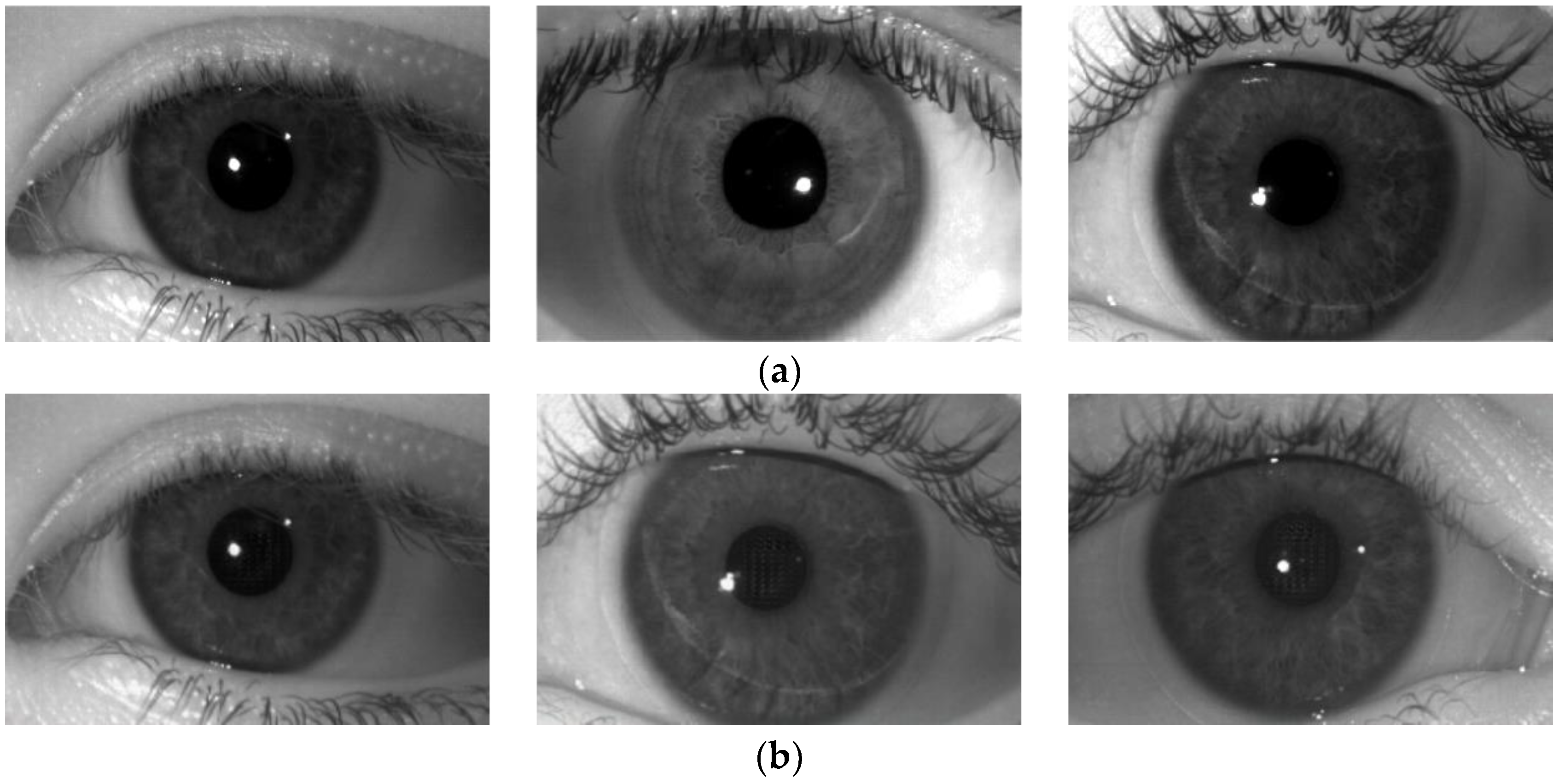 Mathematics 11 04160 g001