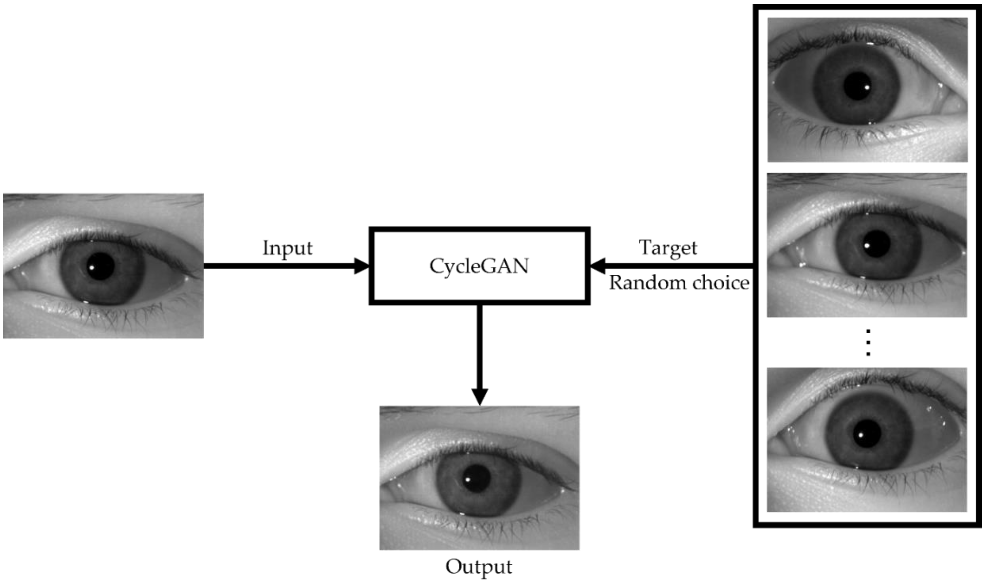 Mathematics 11 04160 g004