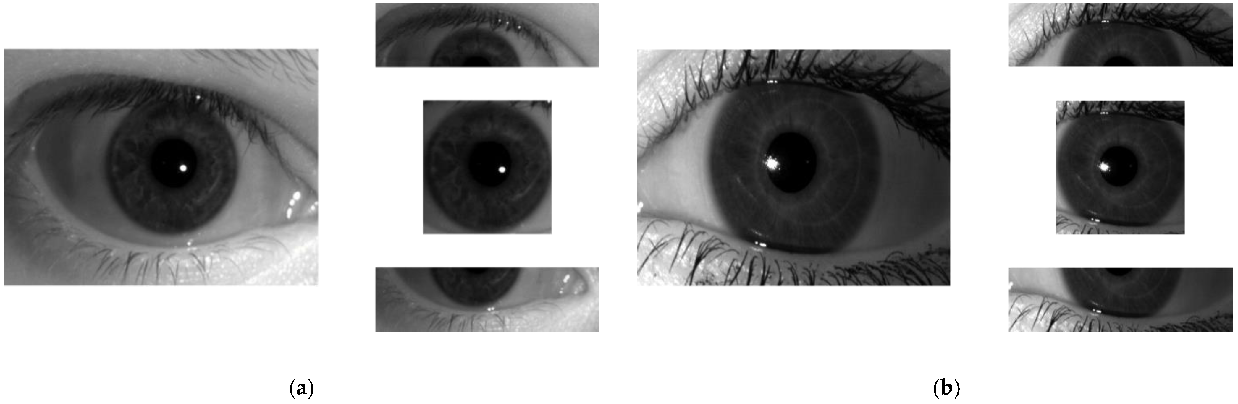 Mathematics 11 04160 g006